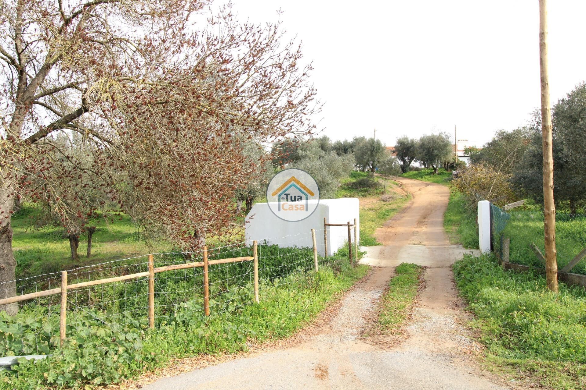 Haus im , Évora District 12465598