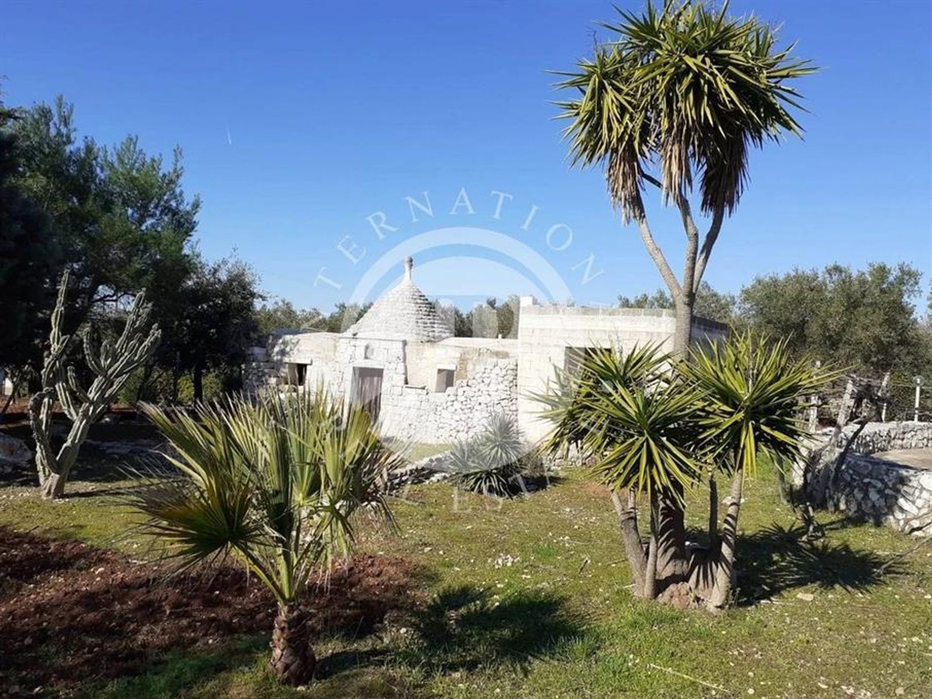 Huis in Carovigno, Puglia 12466619