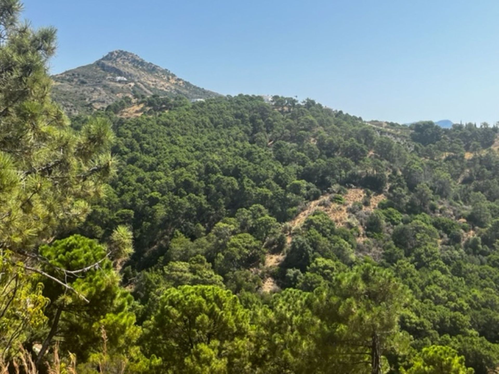 Tanah dalam Benahavís, Andalusia 12468586