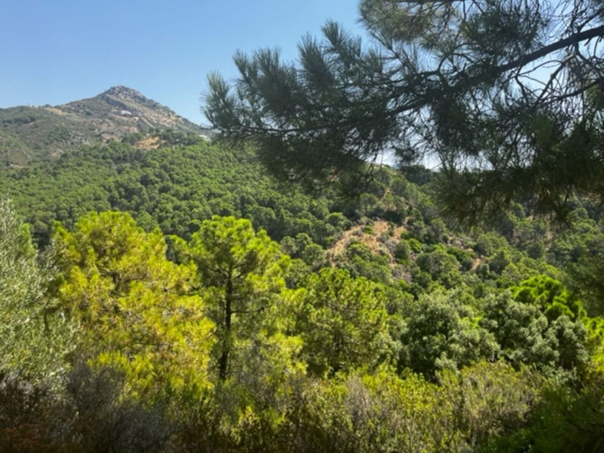 Tanah dalam Benahavís, Andalusia 12468586