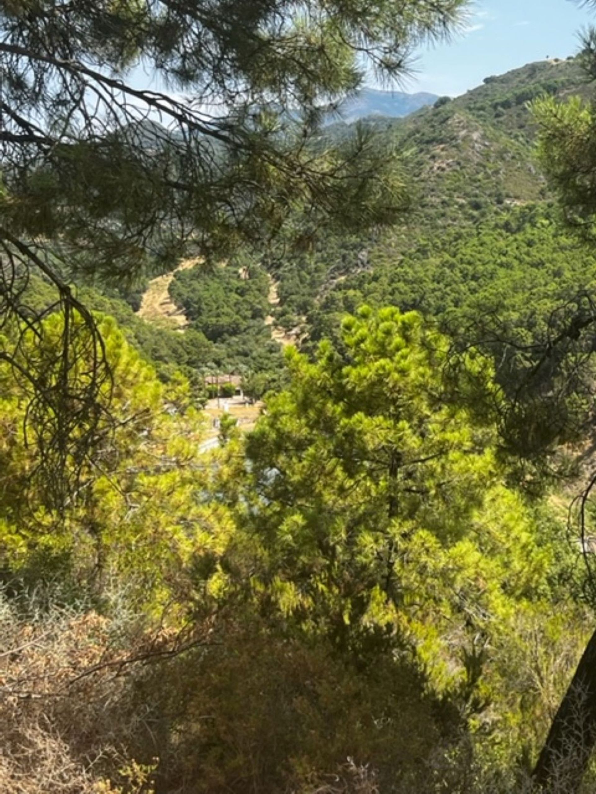 Tanah di Benahavís, Andalusia 12468598