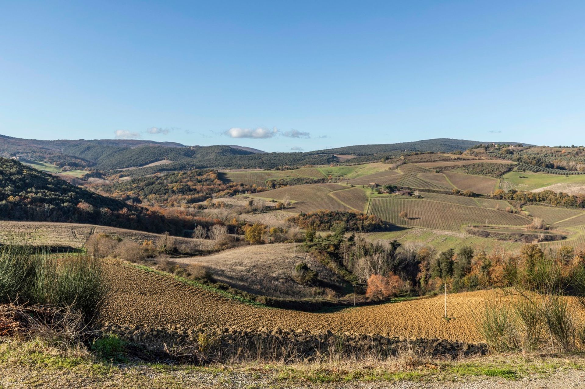 Dom w San Gimignano, Tuscany 12470001