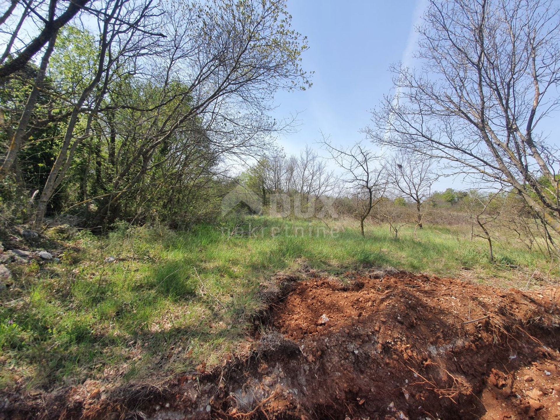 Land in Marcana, Istarska Zupanija 12473777