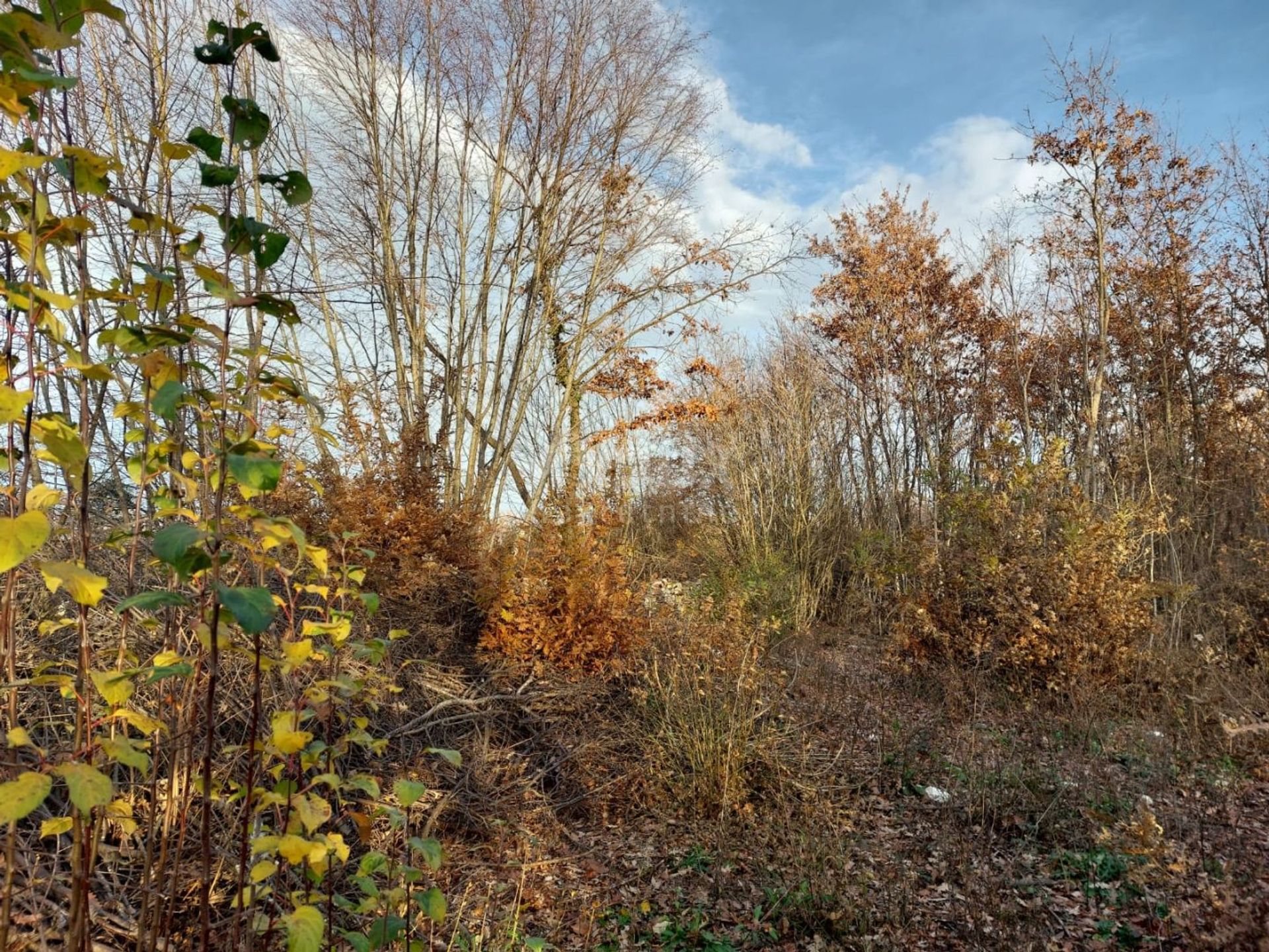 Land in Kanfanar, Istarska Zupanija 12473780