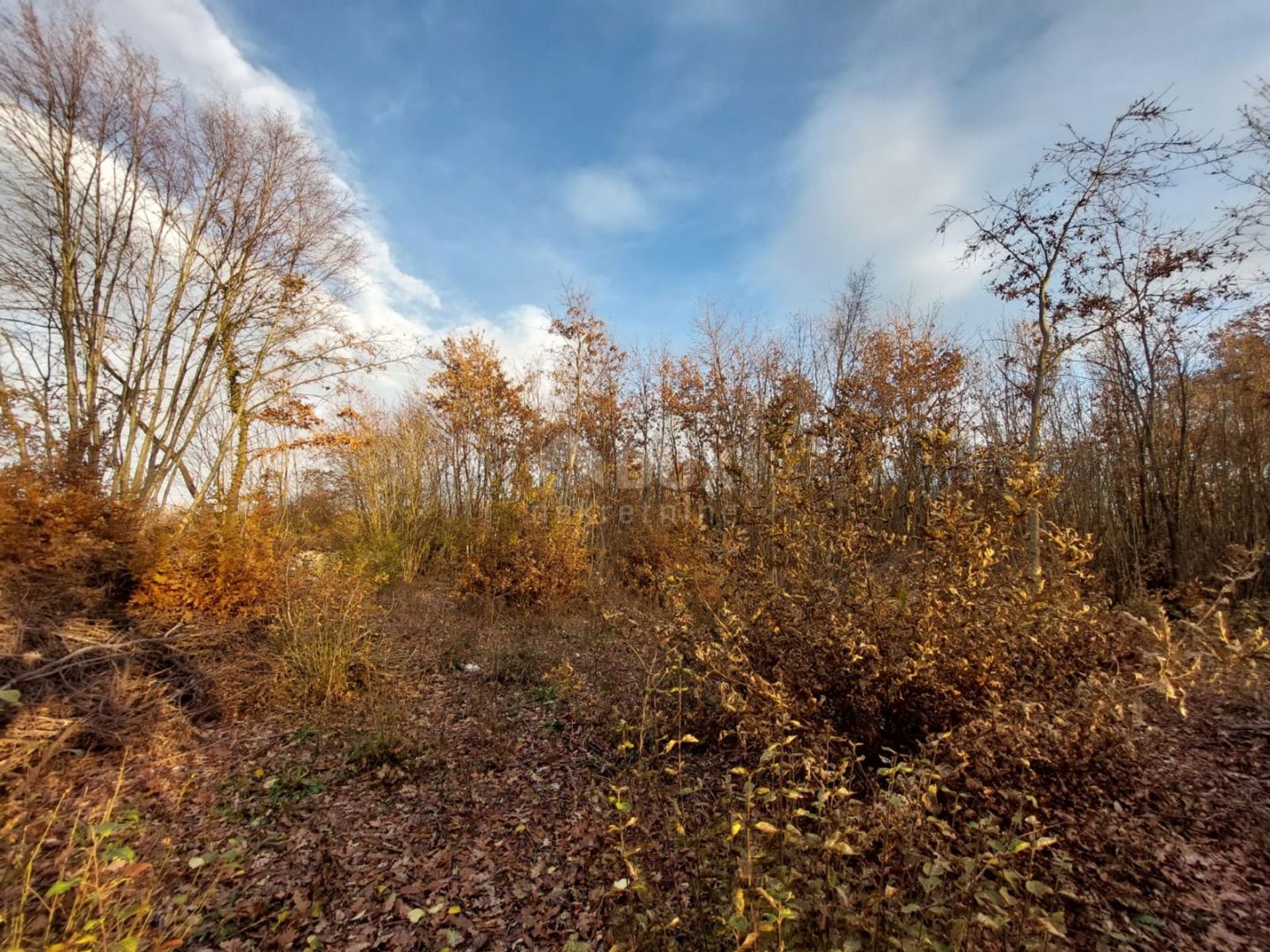 Land in Kanfanar, Istarska Zupanija 12473780