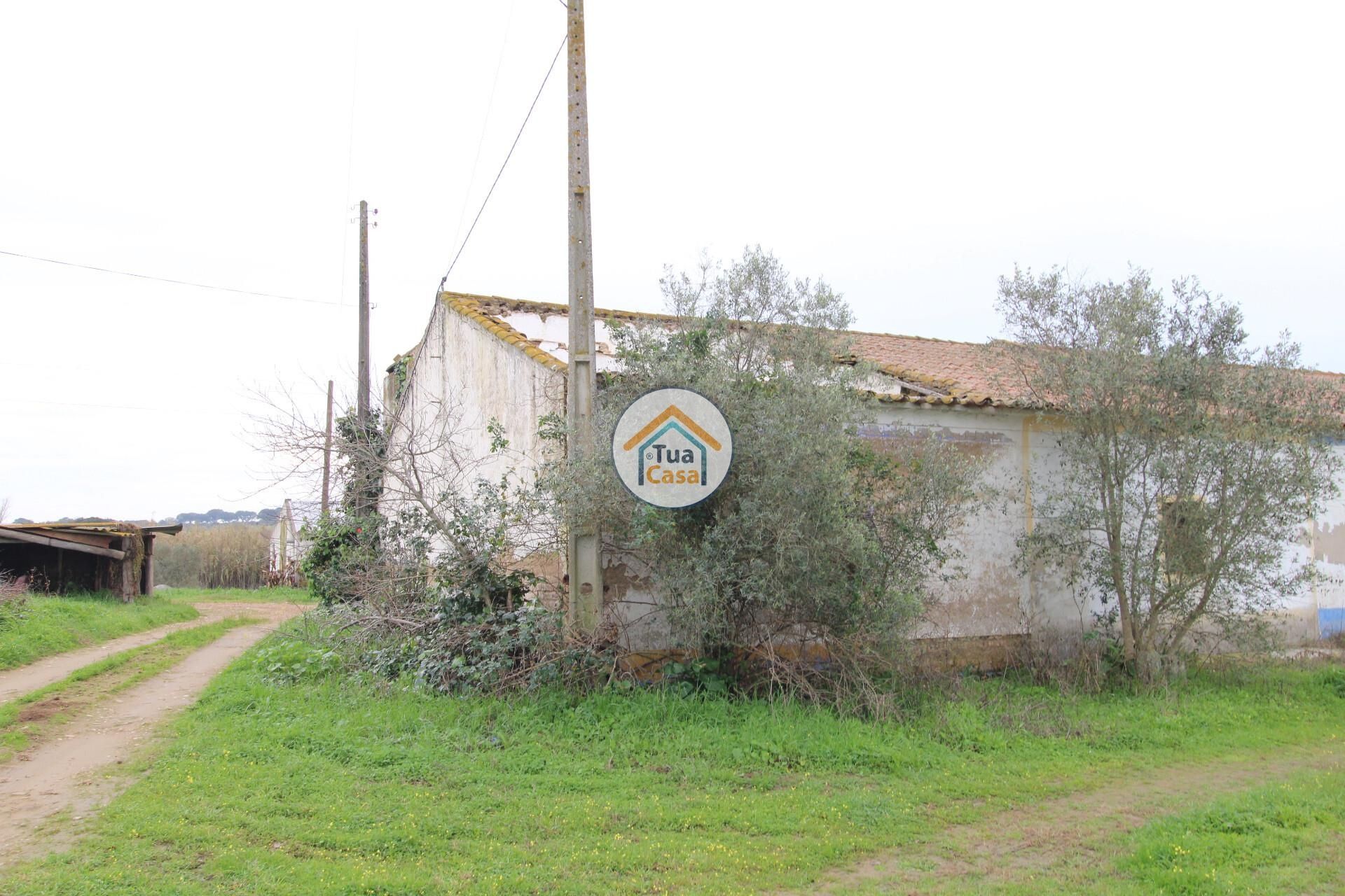 Terre dans Santa Maria de Machede, Évora 12473825