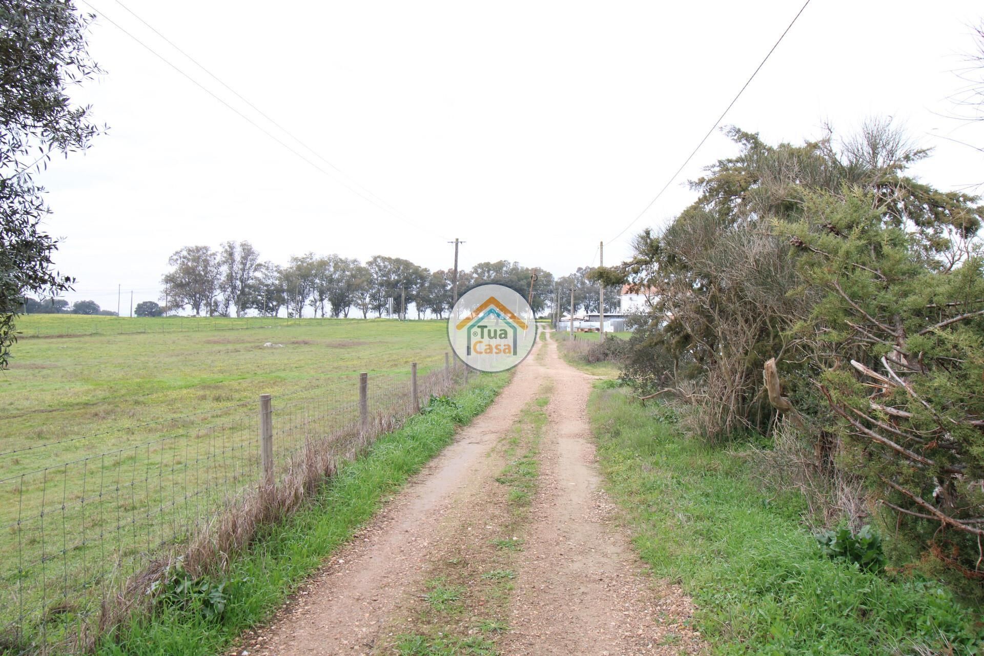 Terre dans Santa Maria de Machede, Évora 12473825