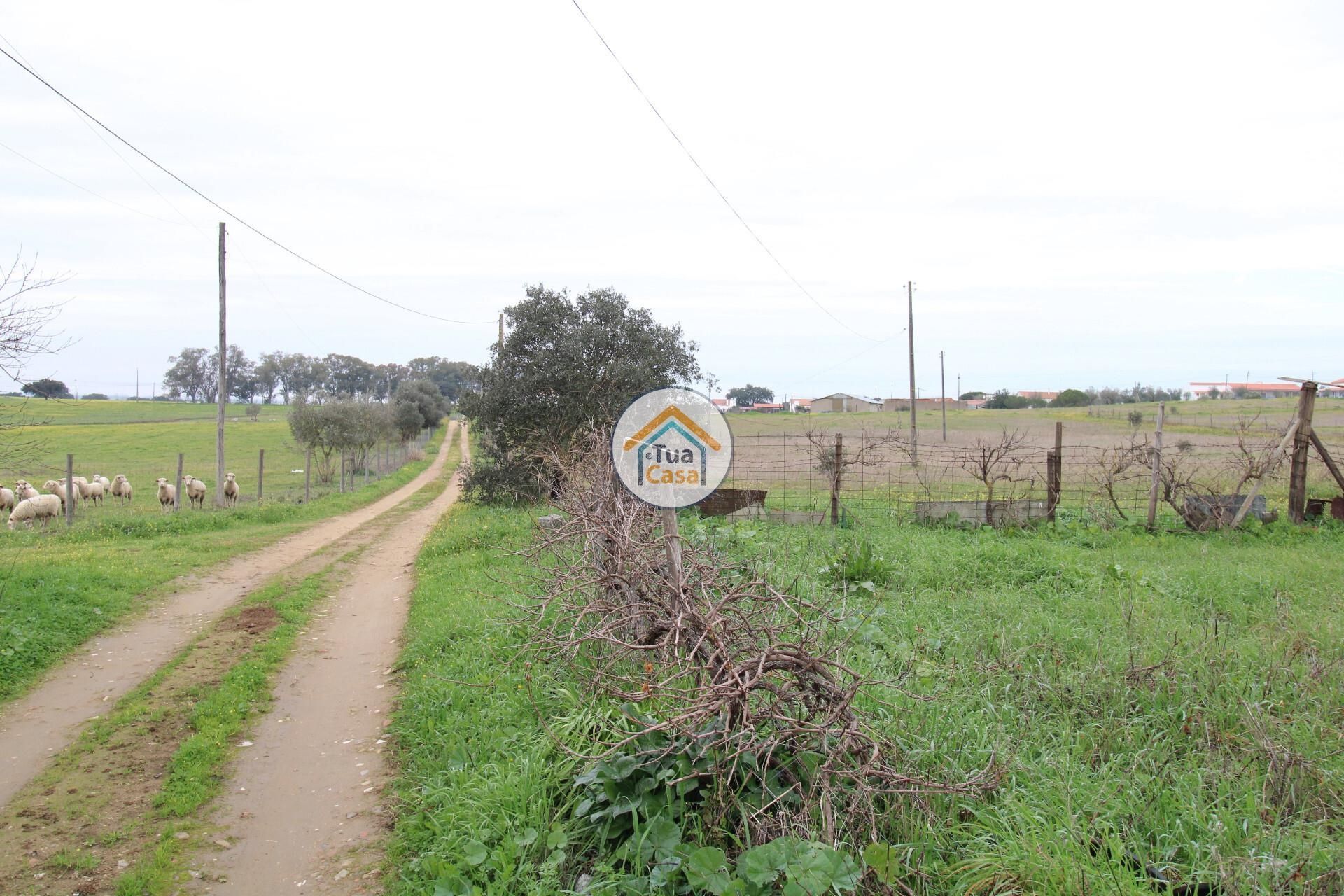 Land i Nossa Senhora de Machede, Évora District 12473825