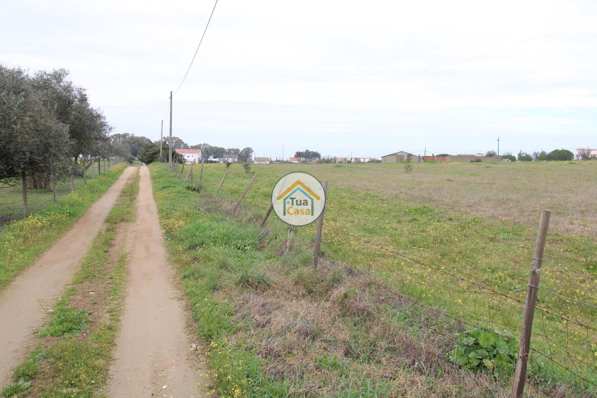 Land i Nossa Senhora de Machede, Évora District 12473825