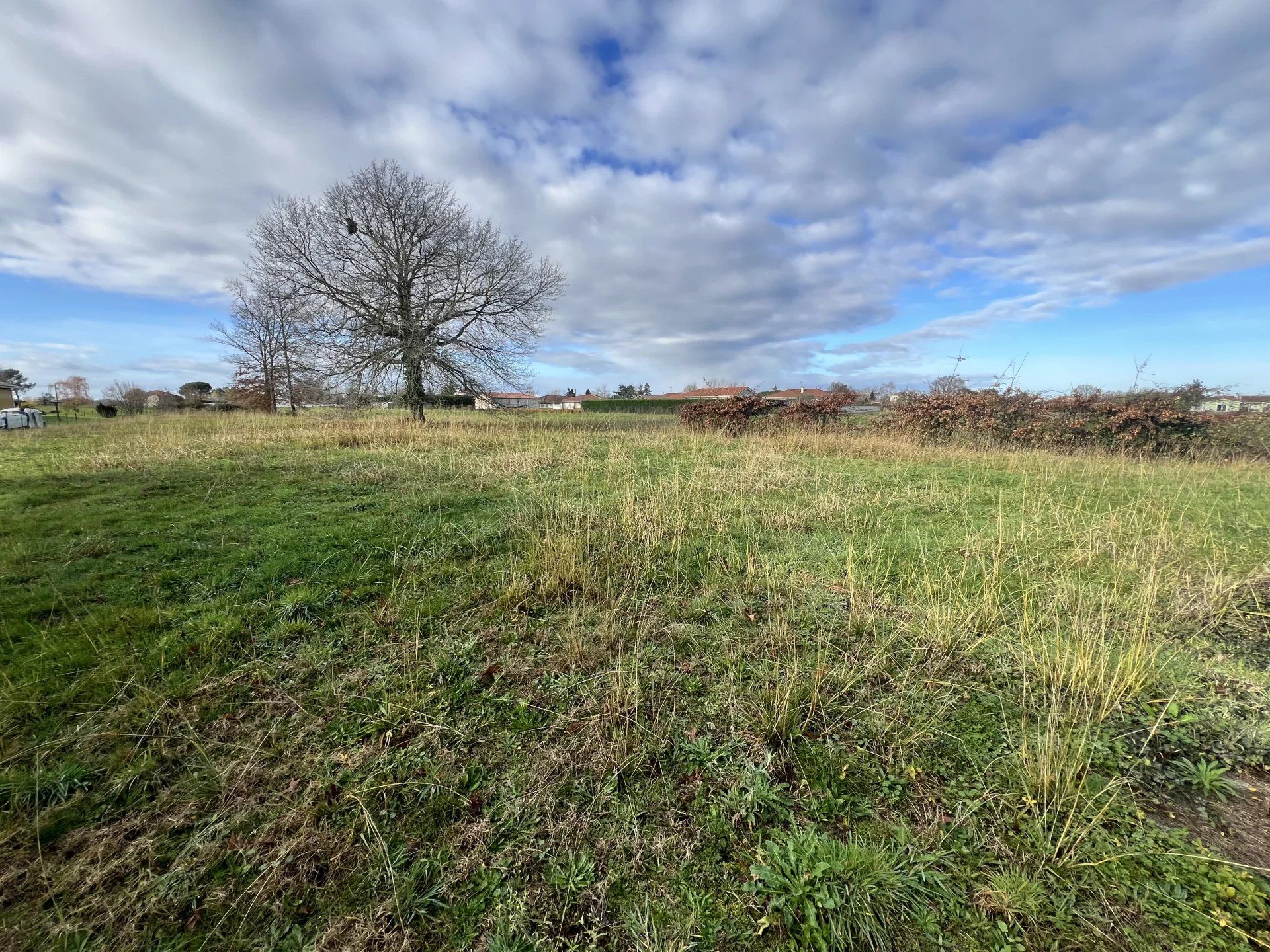 Annen i Aire-sur-l'Adour, Nouvelle-Aquitaine 12474746