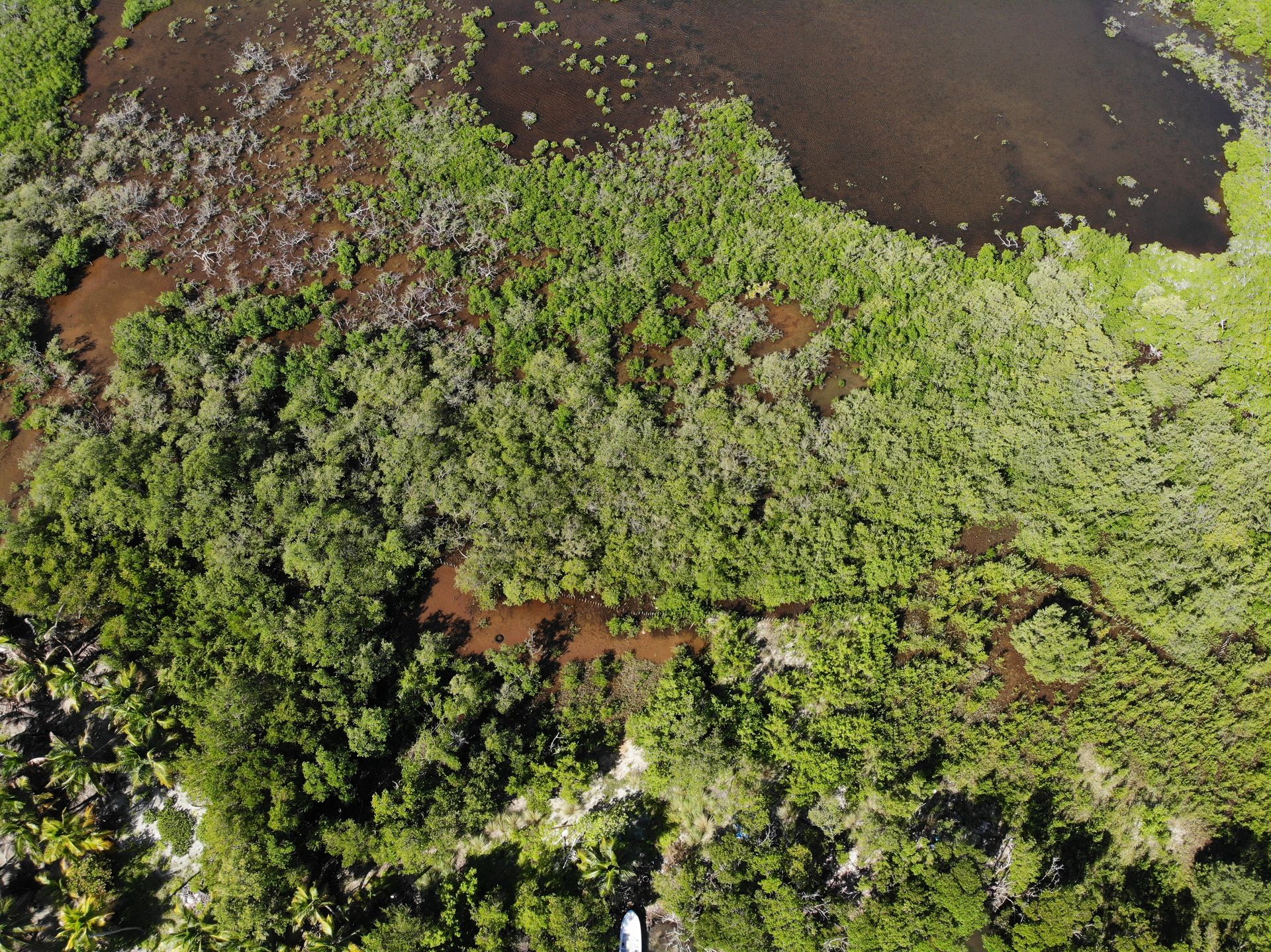 Hus i Dangriga, Stann Creek 12474925