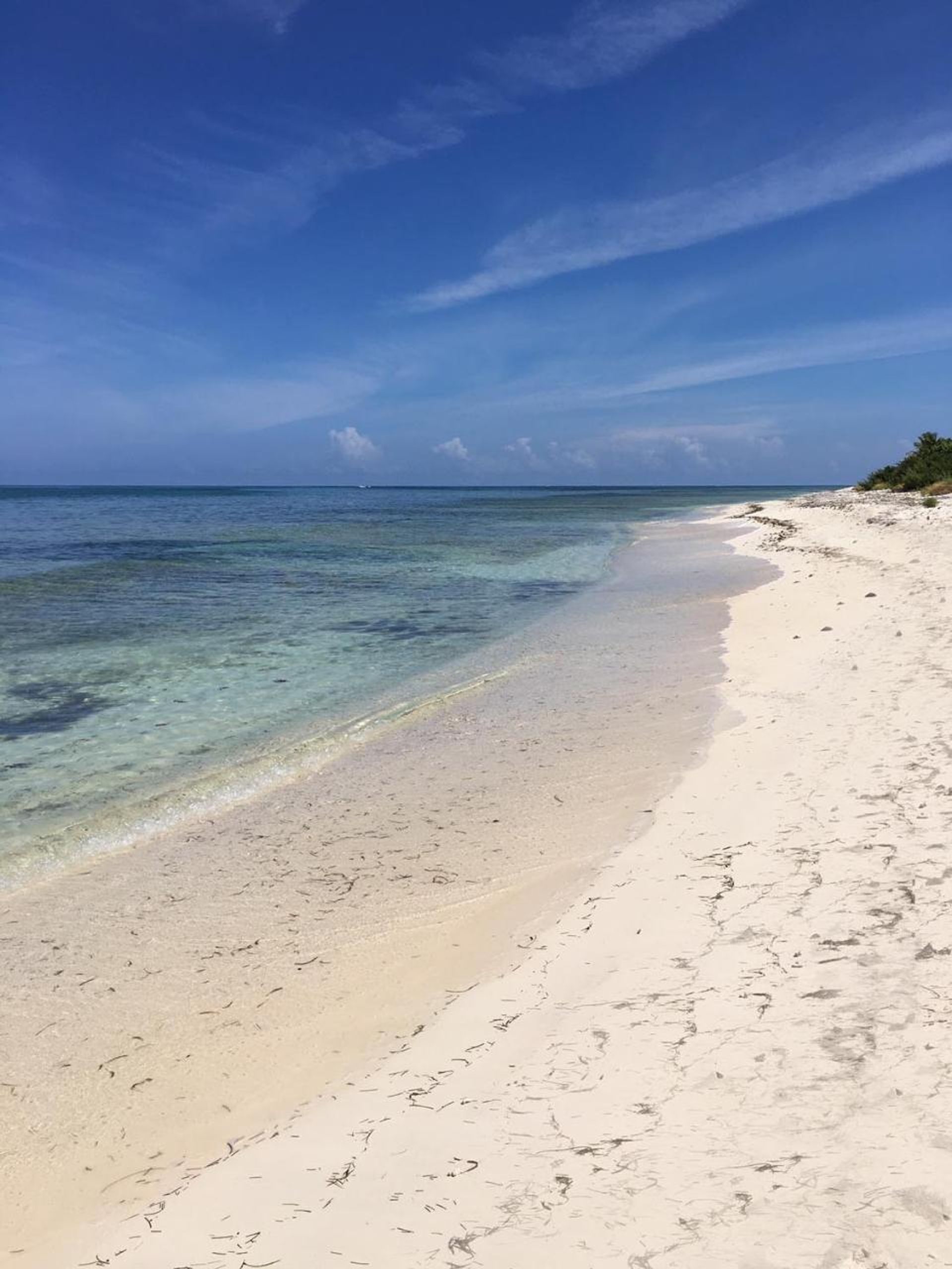 жилой дом в Cockburn Town, Turks Islands 12477206