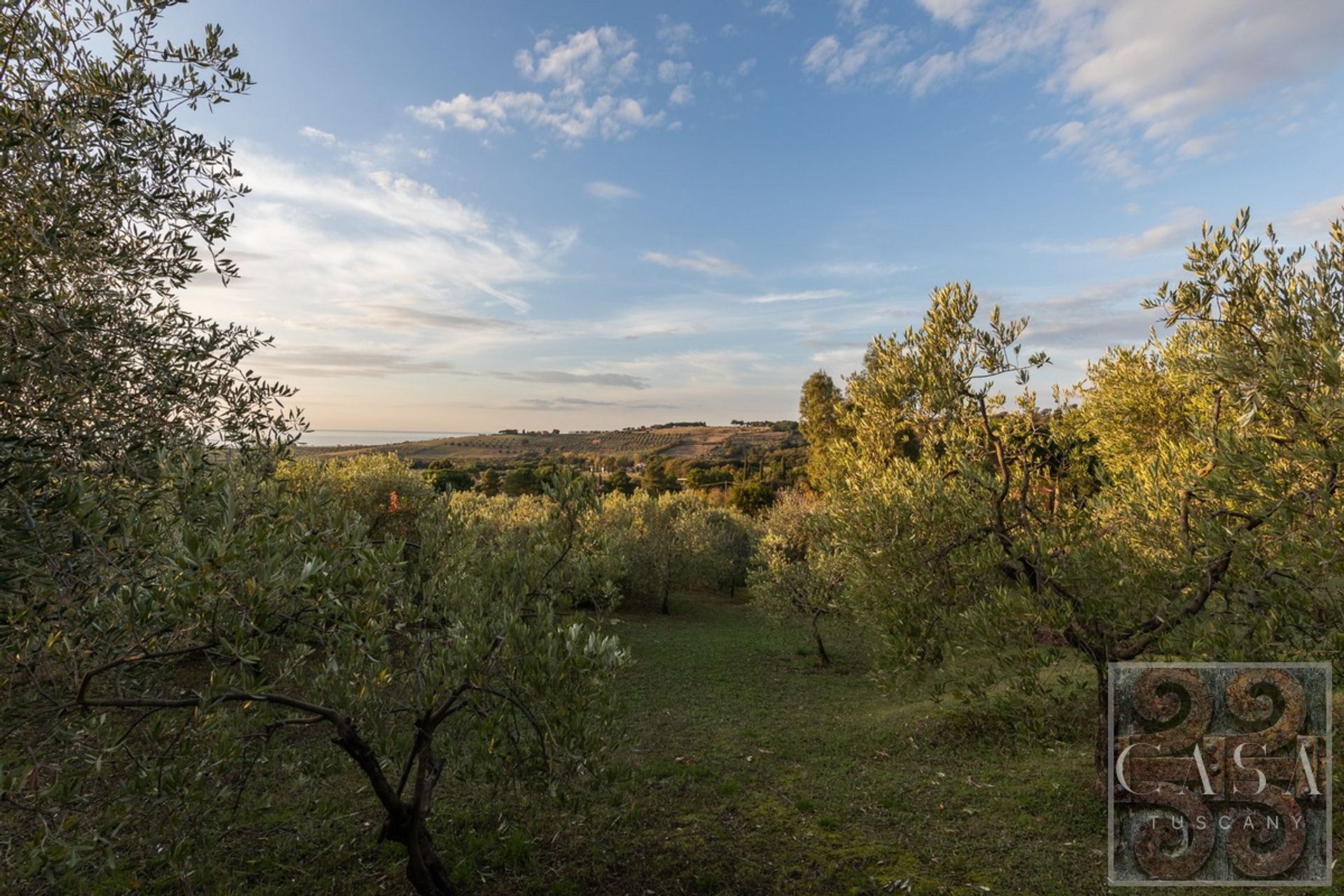 집 에 Campiglia Marittima, Tuscany 12477484