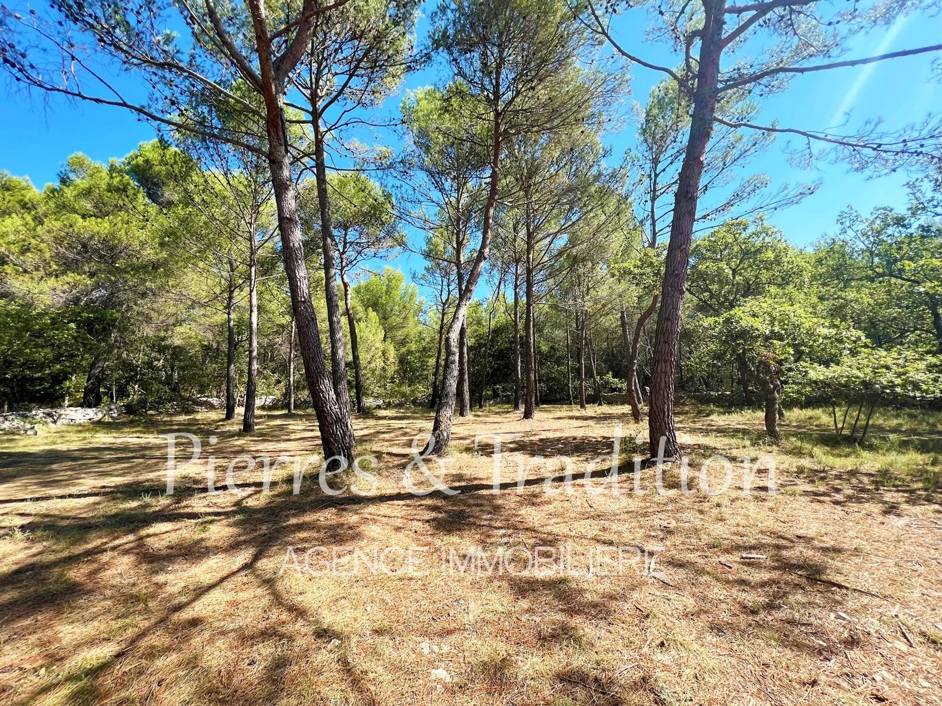 Other in Caseneuve, Provence-Alpes-Cote d'Azur 12477569