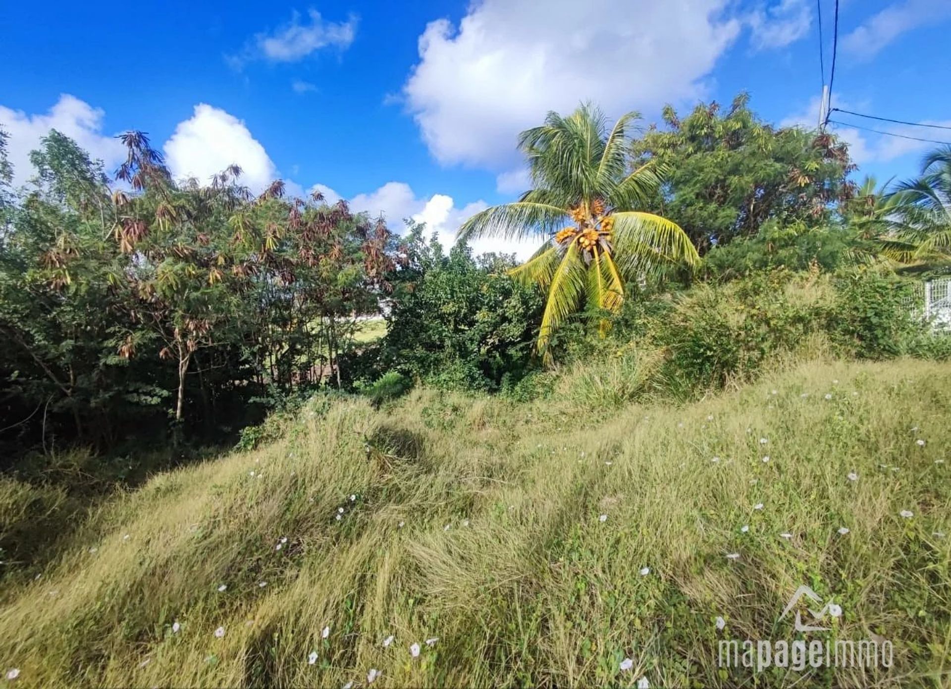 Terra no Cap Estate, Gros-Islet 12477621