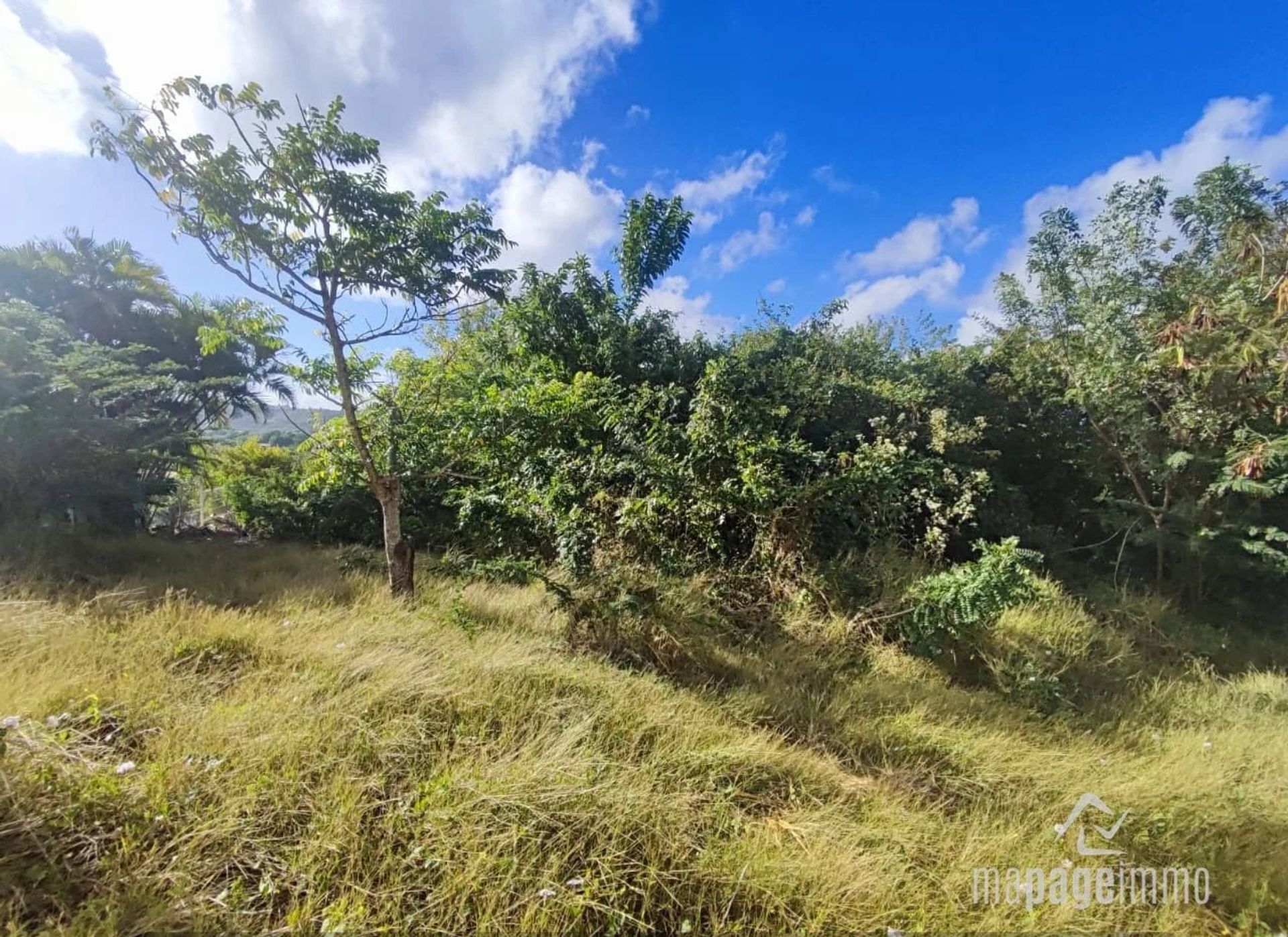 Tanah di Cap Estate, Gros-Islet 12477621