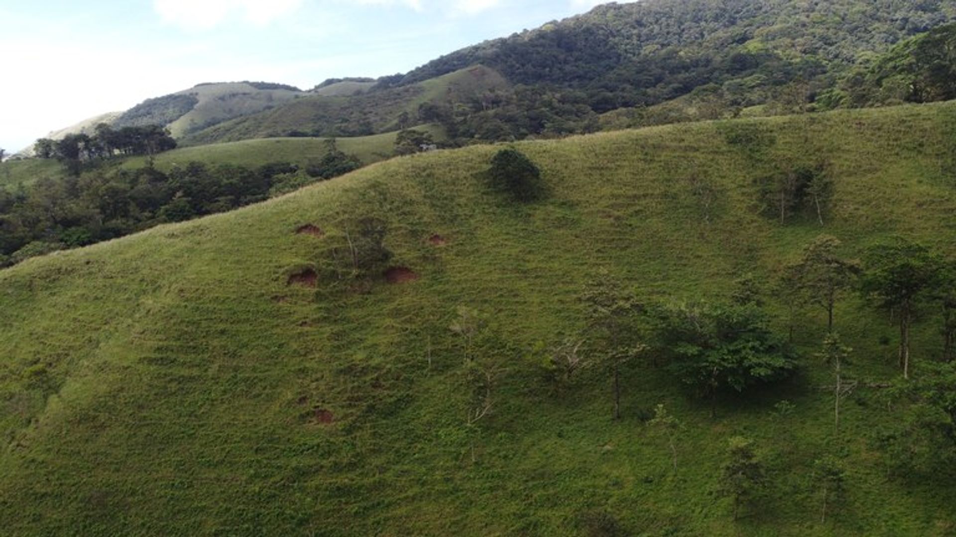 Другой в , Provincia de Guanacaste 12479318