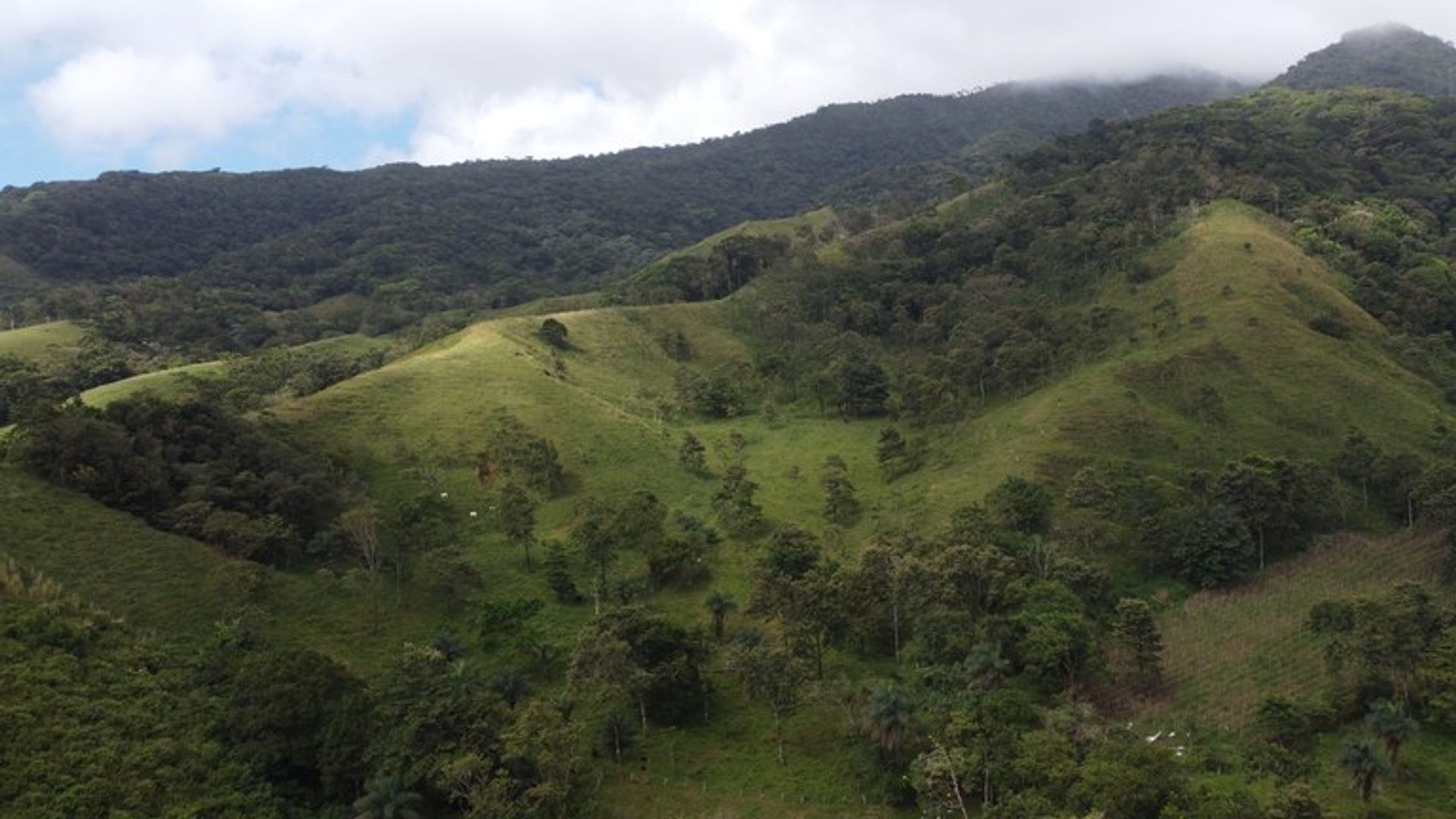 Другой в , Provincia de Guanacaste 12479318