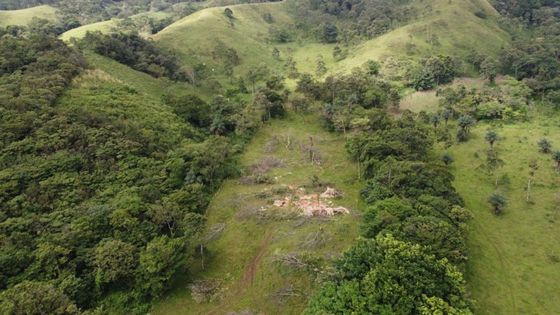 Другой в , Provincia de Guanacaste 12479318