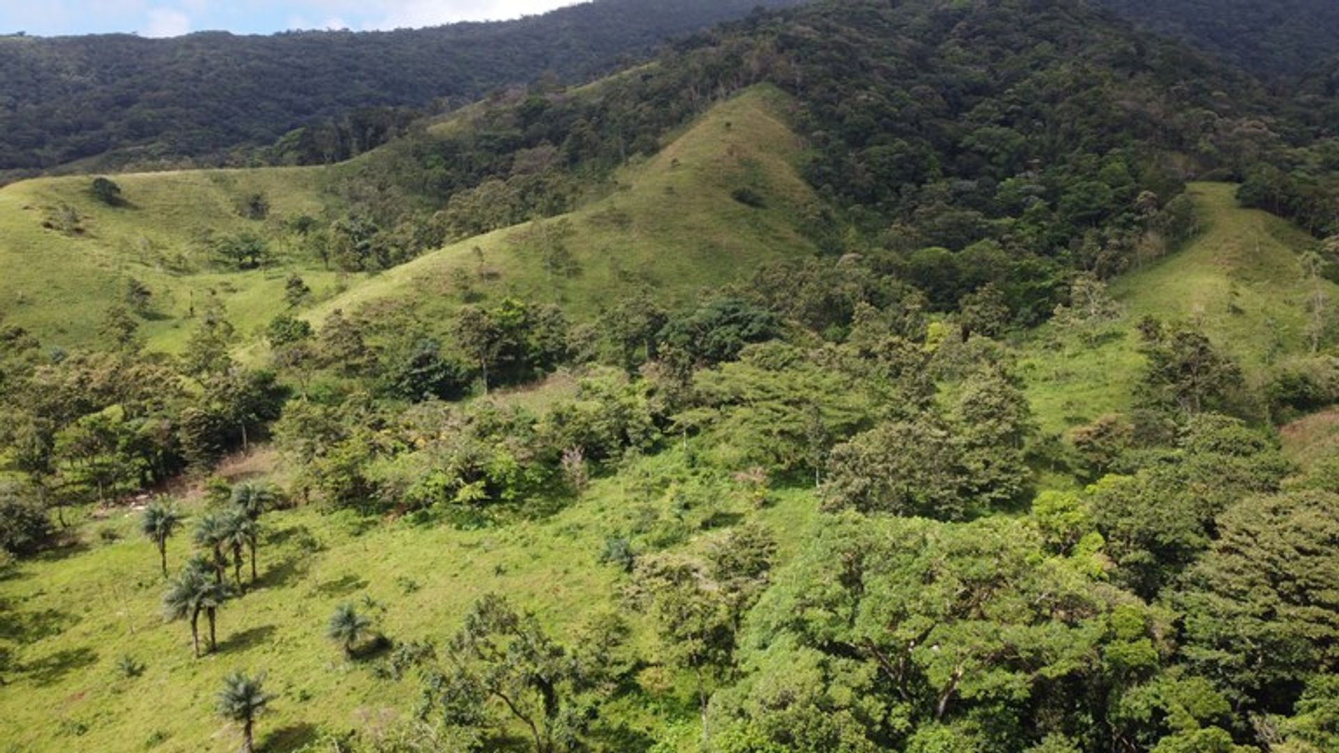 Другой в , Provincia de Guanacaste 12479318