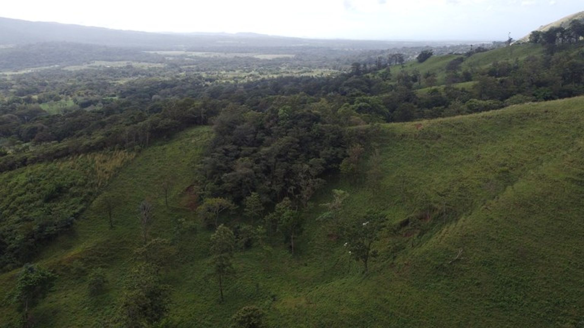 Другой в , Provincia de Guanacaste 12479318