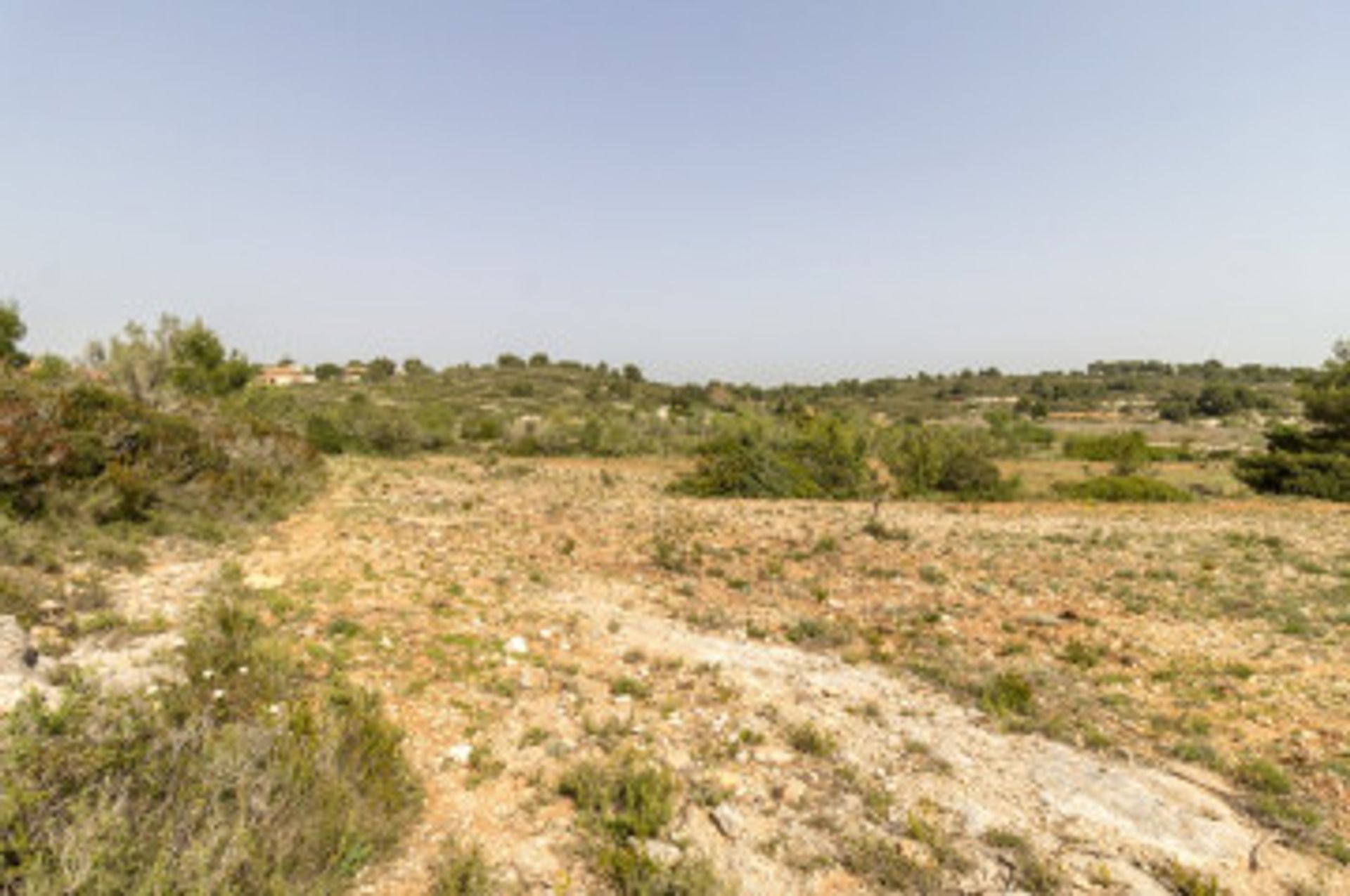 Otro en Collbato, Catalonia 12479470