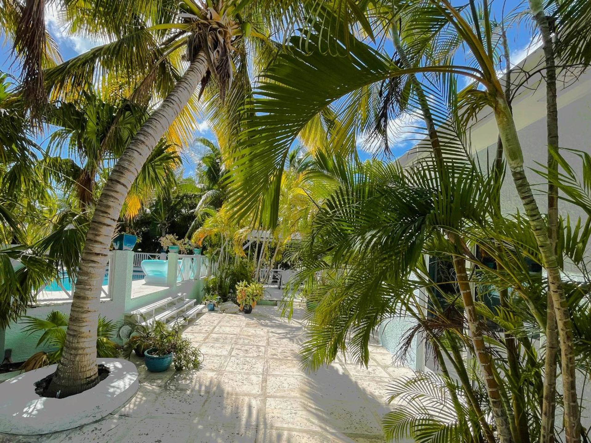 loger dans Leeward Settlement, Caicos Islands 12479504