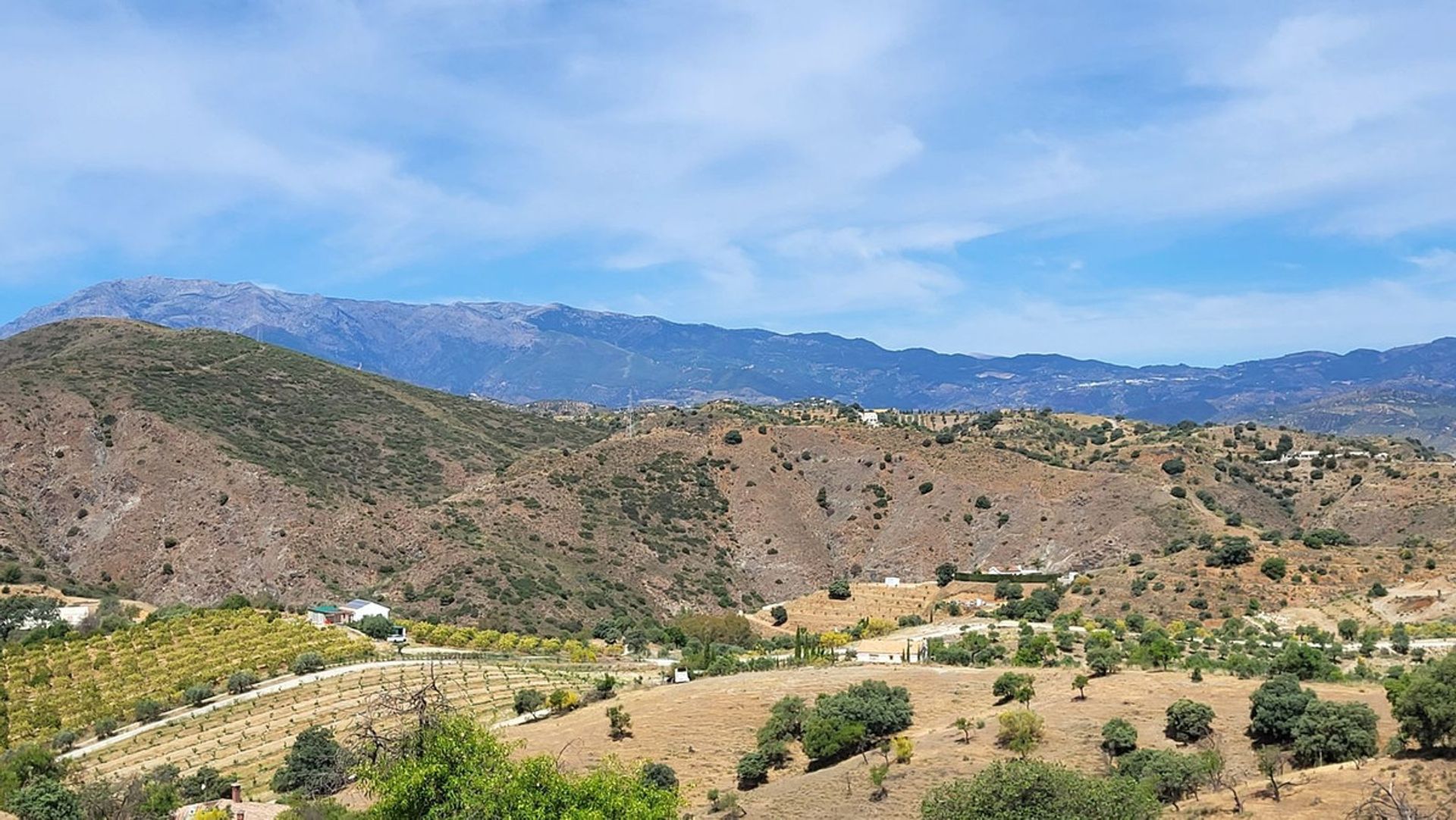 土地 在 Coín, Andalusia 12482637