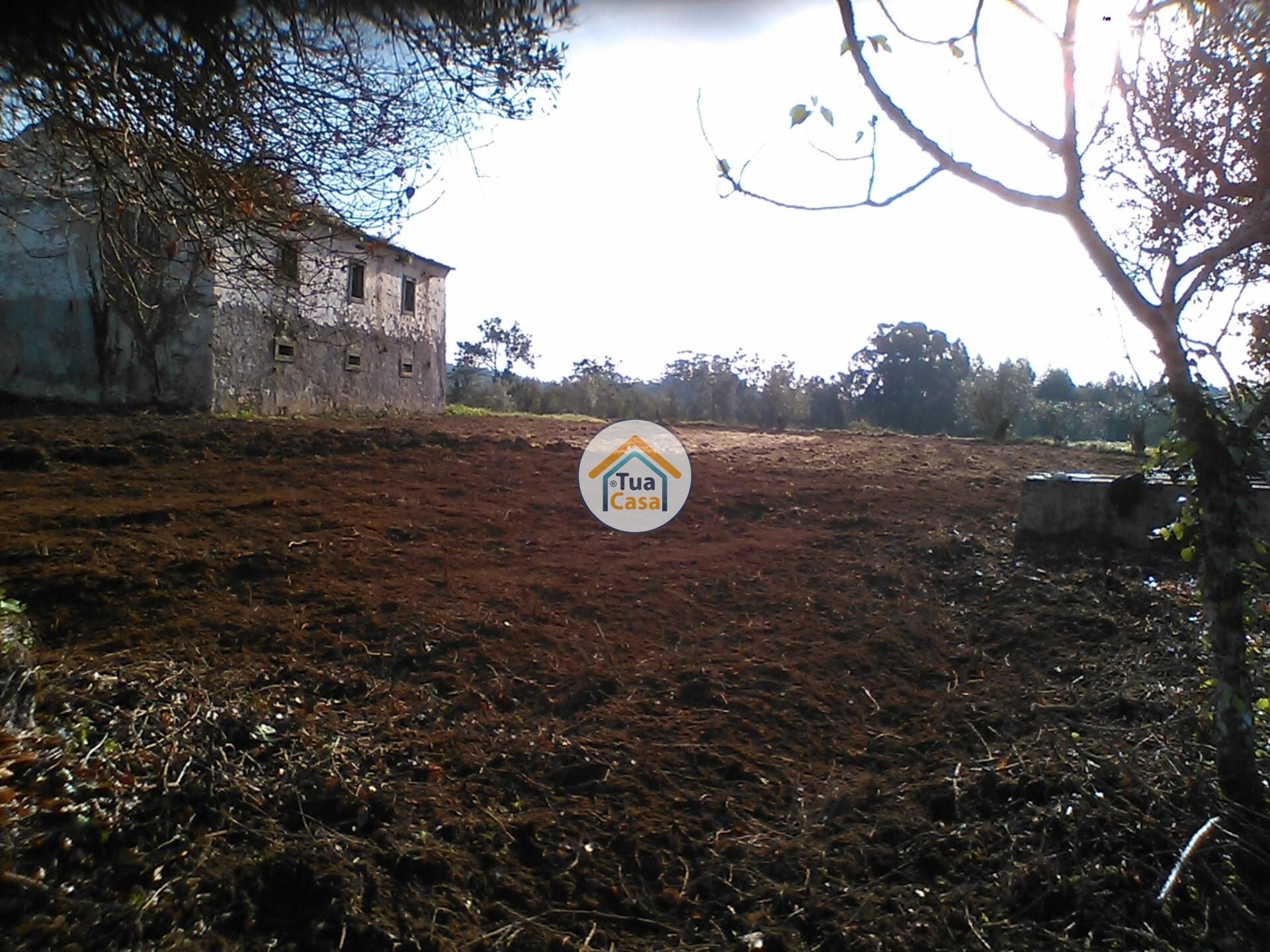 rumah dalam Figueira de Lorvão, Coimbra 12484335