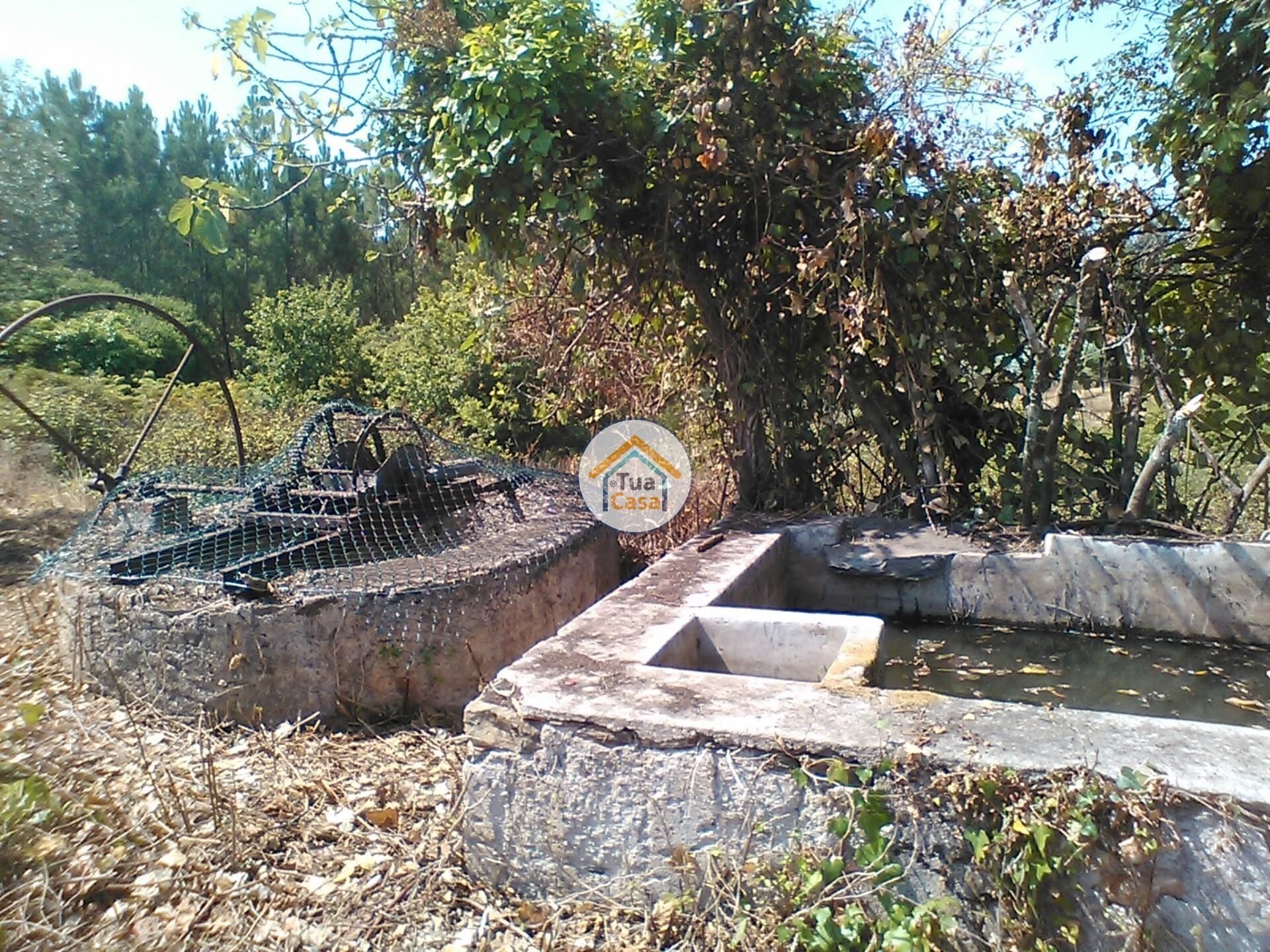 casa en Figueira de Lorvao, Coímbra 12484335