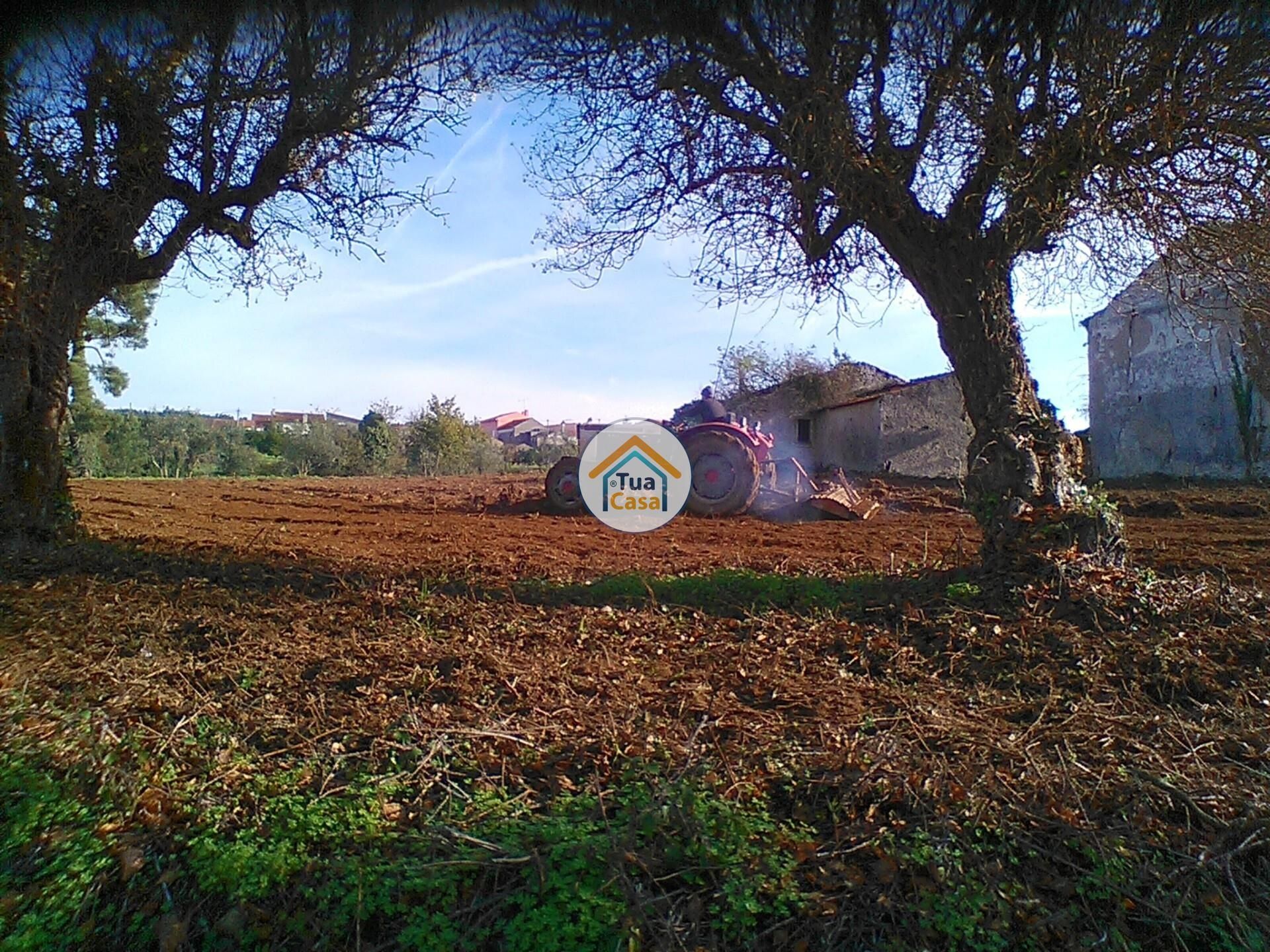 rumah dalam Figueira de Lorvão, Coimbra 12484335