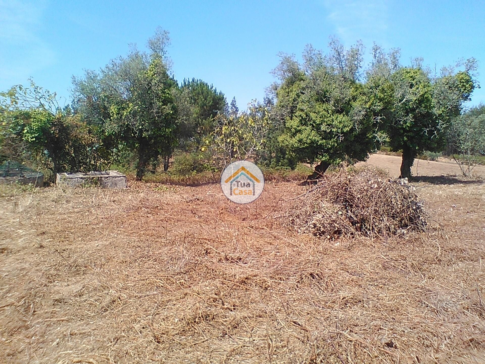 rumah dalam Figueira de Lorvão, Coimbra 12484335