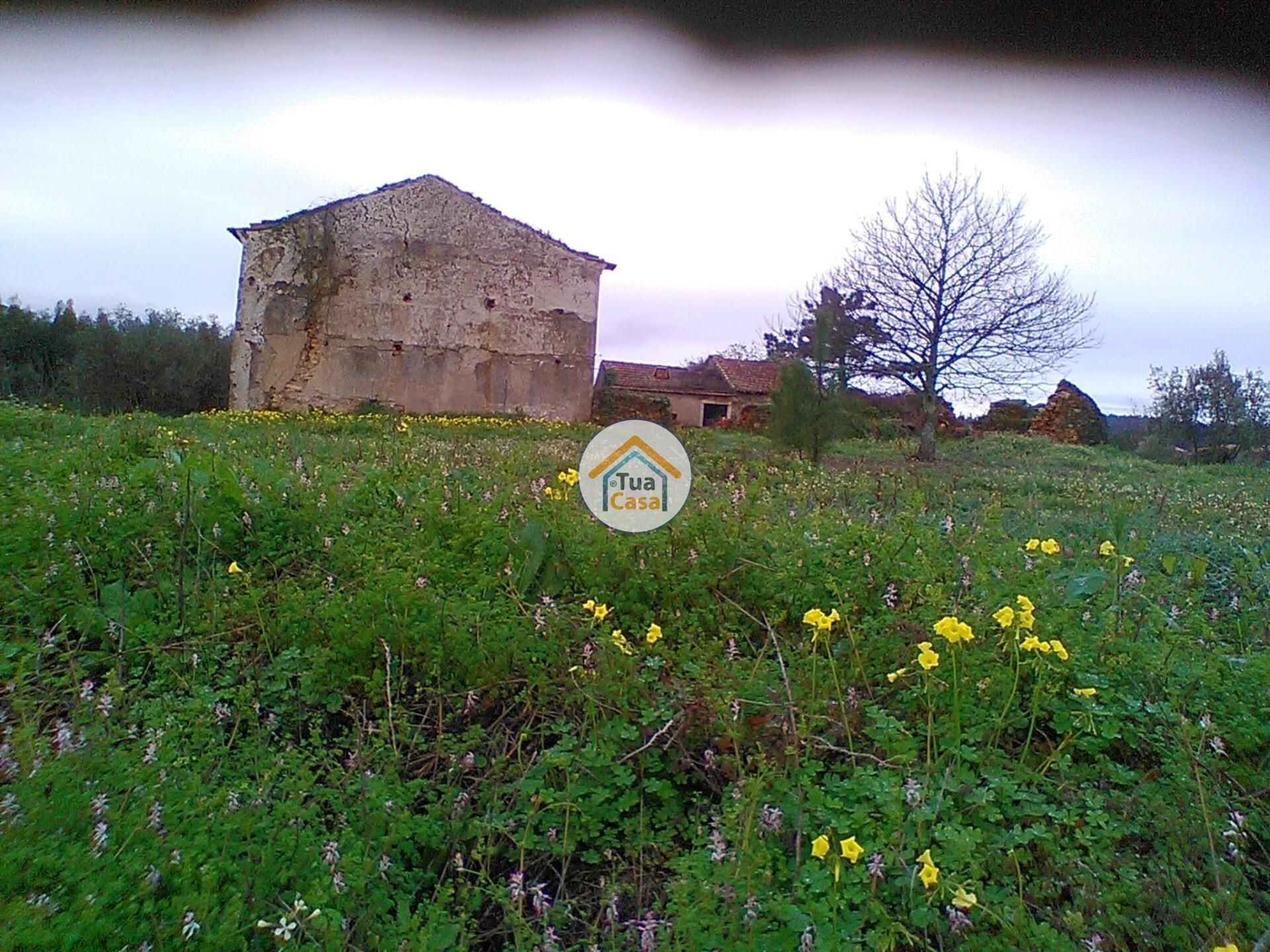 House in Figueira de Lorvão, Coimbra 12484335