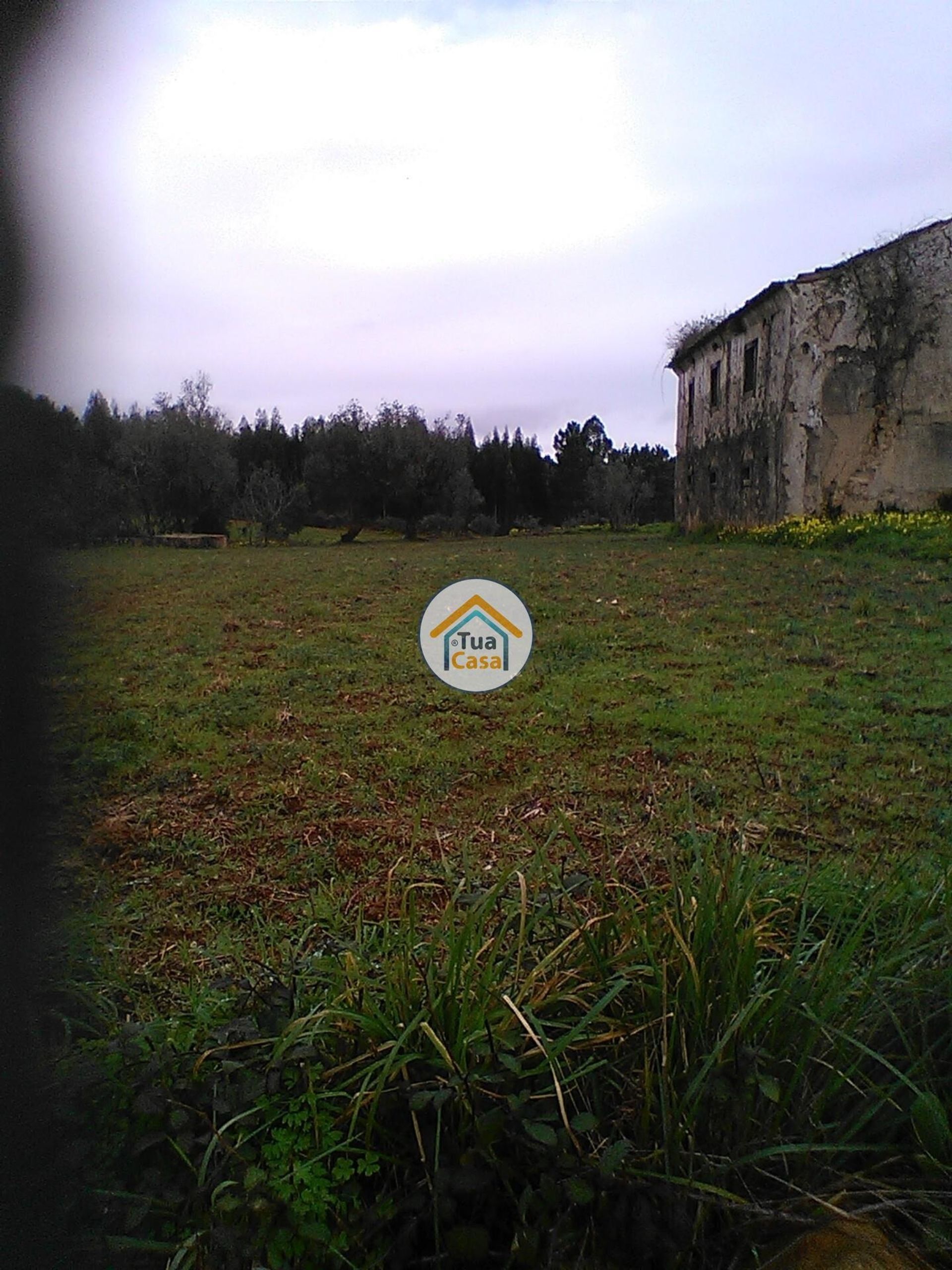 House in Figueira de Lorvão, Coimbra 12484335