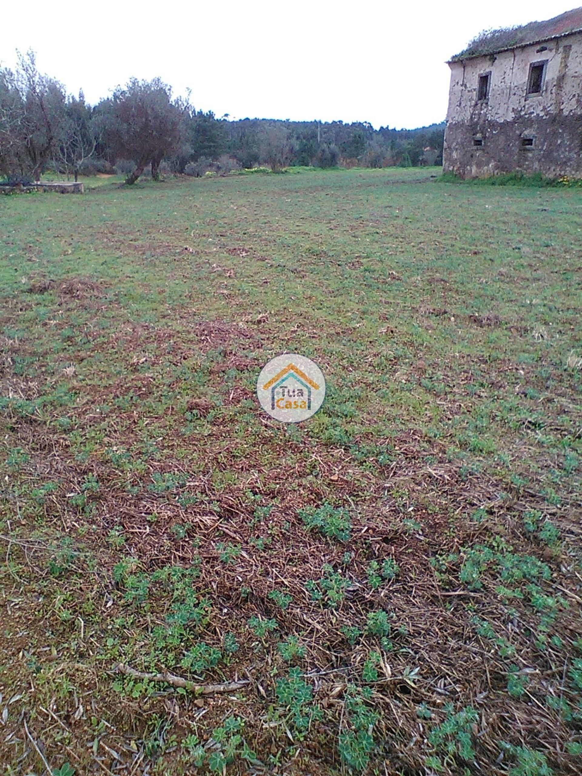 House in Figueira de Lorvão, Coimbra 12484335