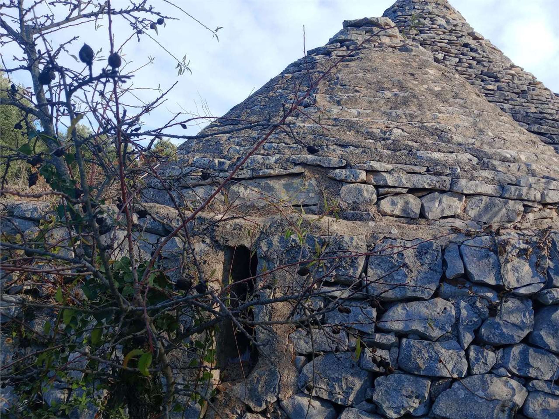 Tierra en Castellana Grotte, Apulia 12486806