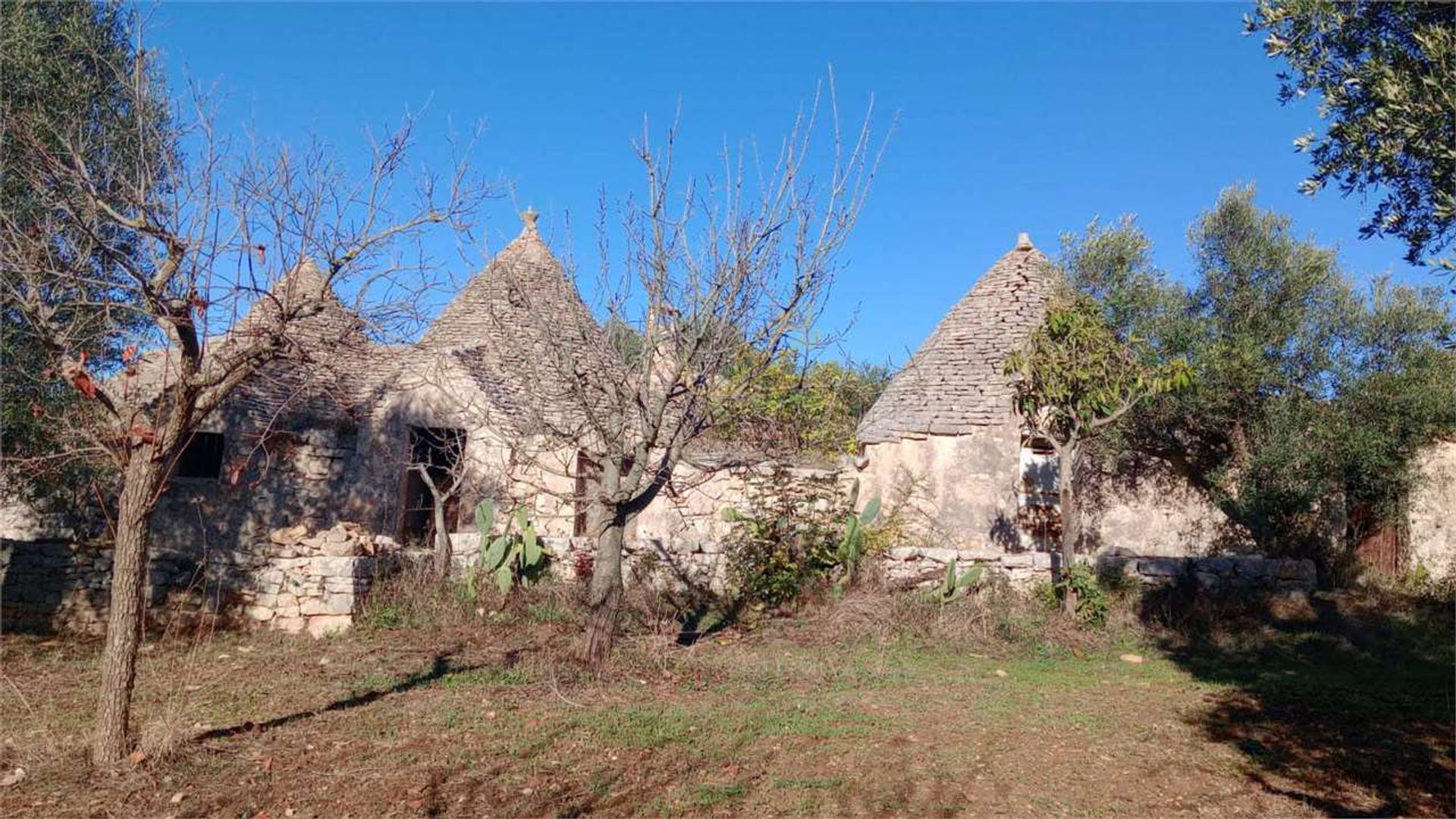 Tierra en Castellana Grotte, Apulia 12486806