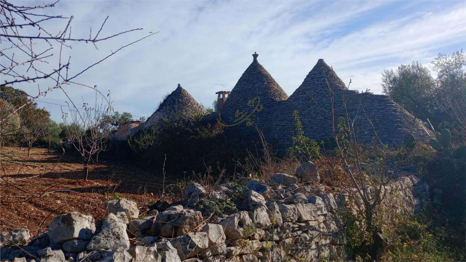 Γη σε Castellana Grotte, Πούλια 12486806