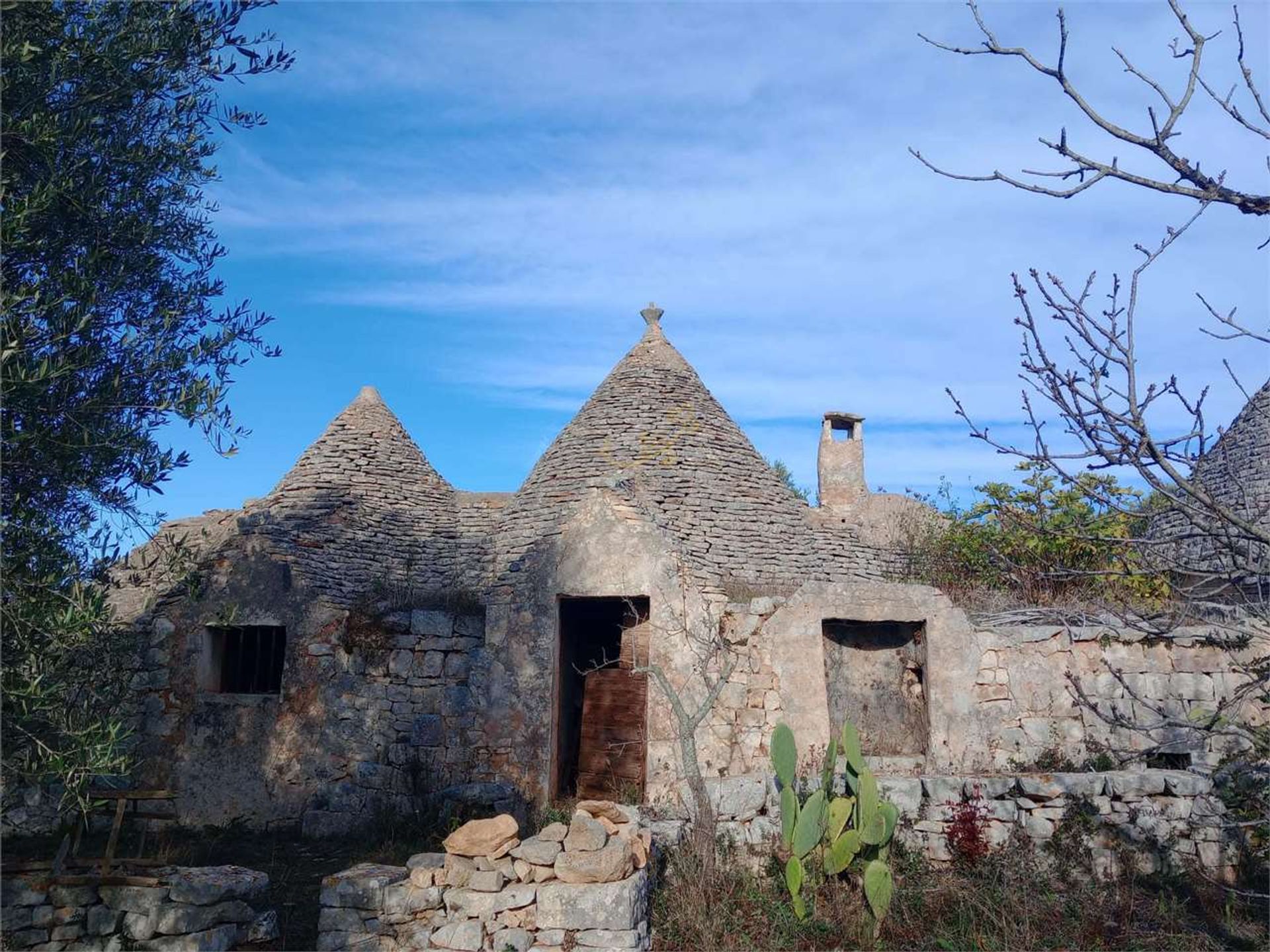 Jord i Castellana Grotte, Puglia 12486806