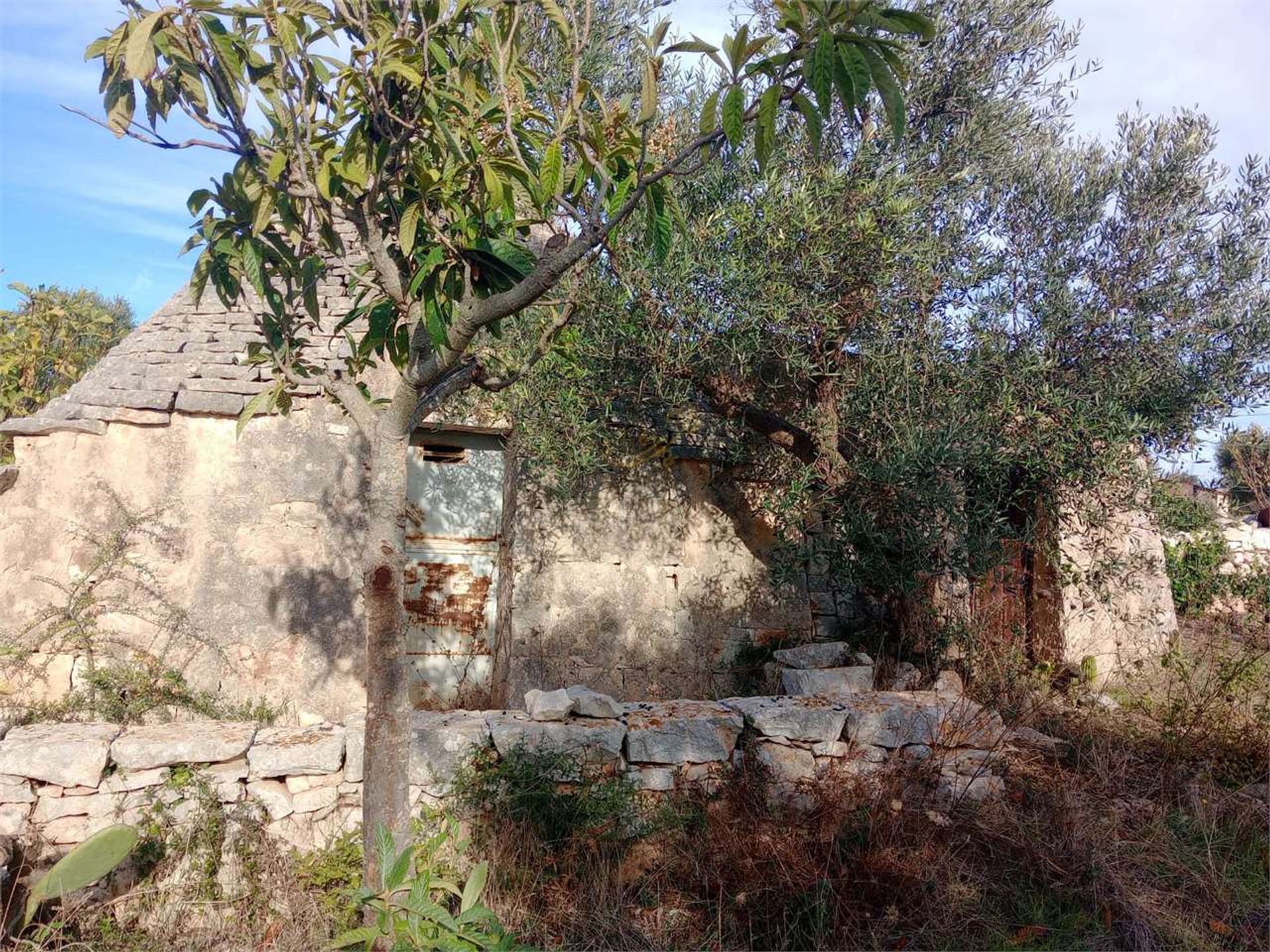 Tierra en Castellana Grotte, Apulia 12486806