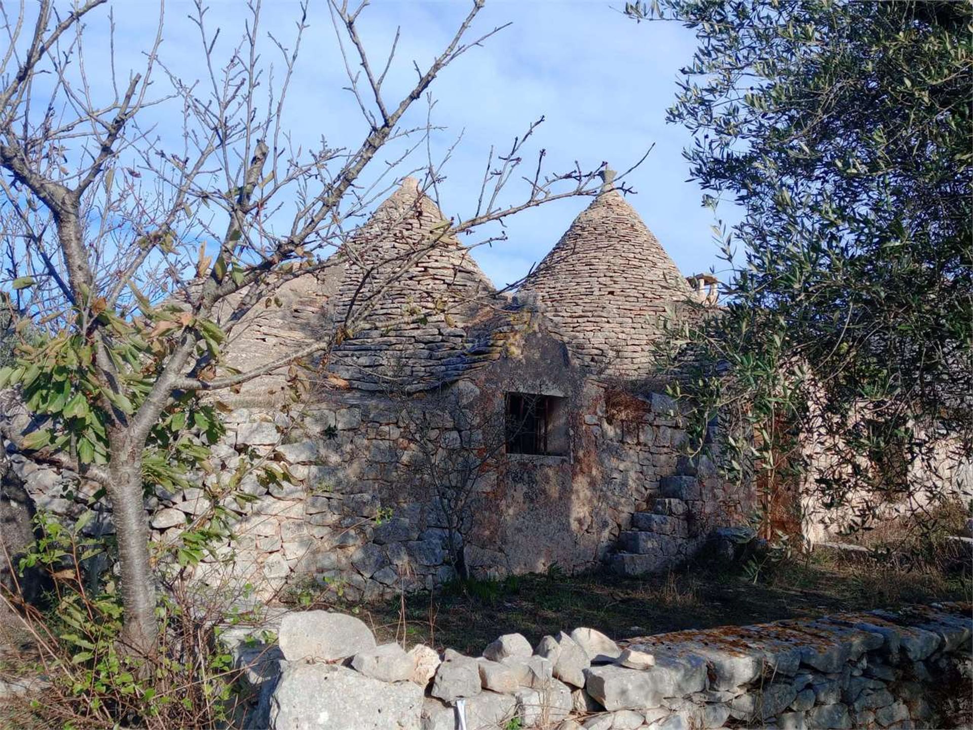 Maa sisään Castellana Grotte, Puglia 12486806