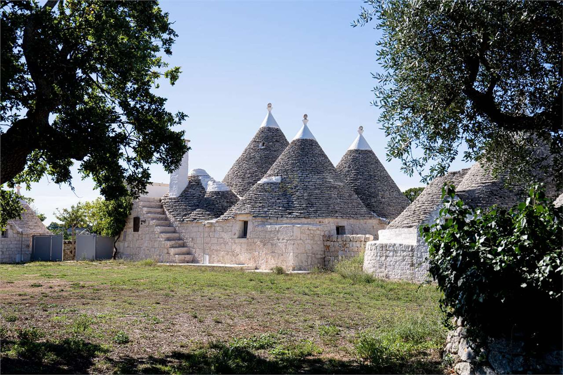 Land in , Apulia 12486807