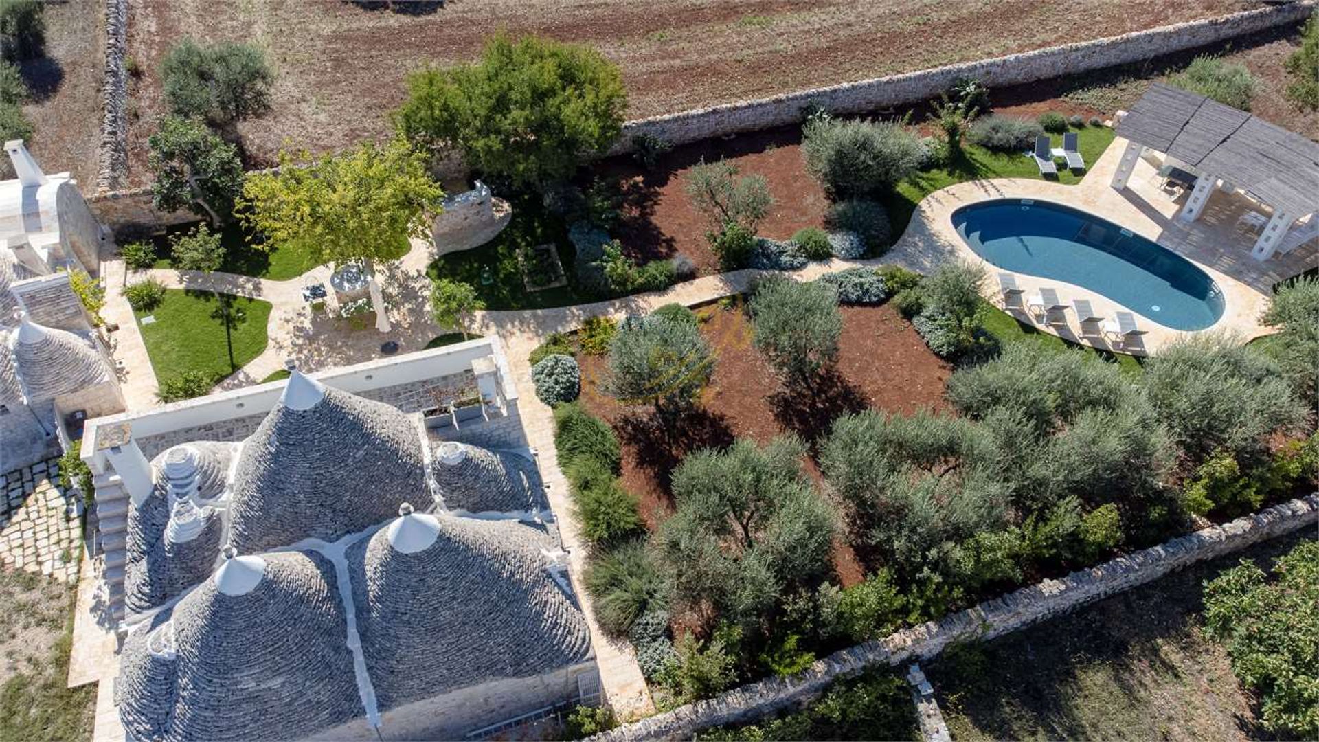 Land in , Apulia 12486807