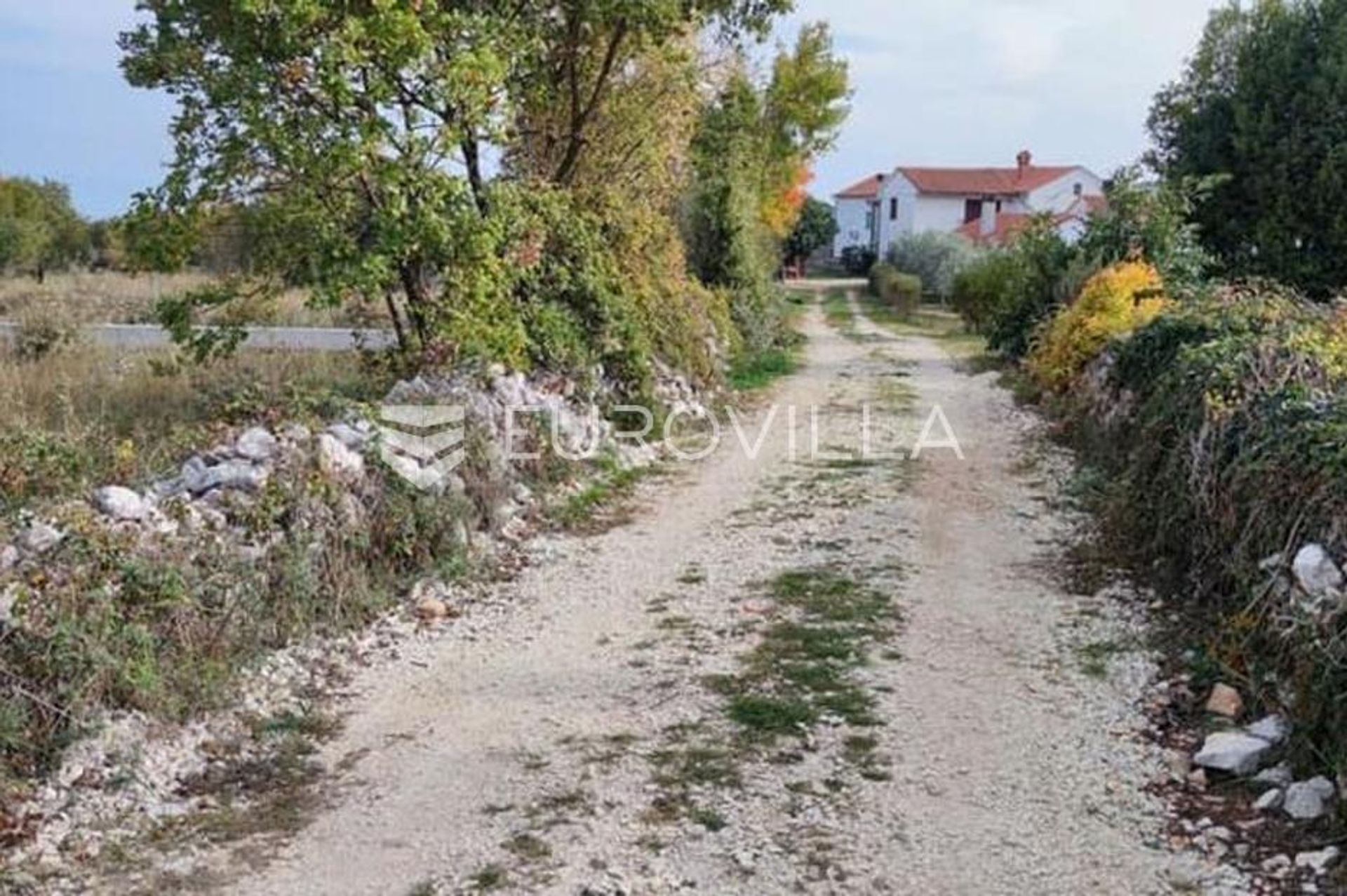 Land in Marcana, Istarska Zupanija 12488868