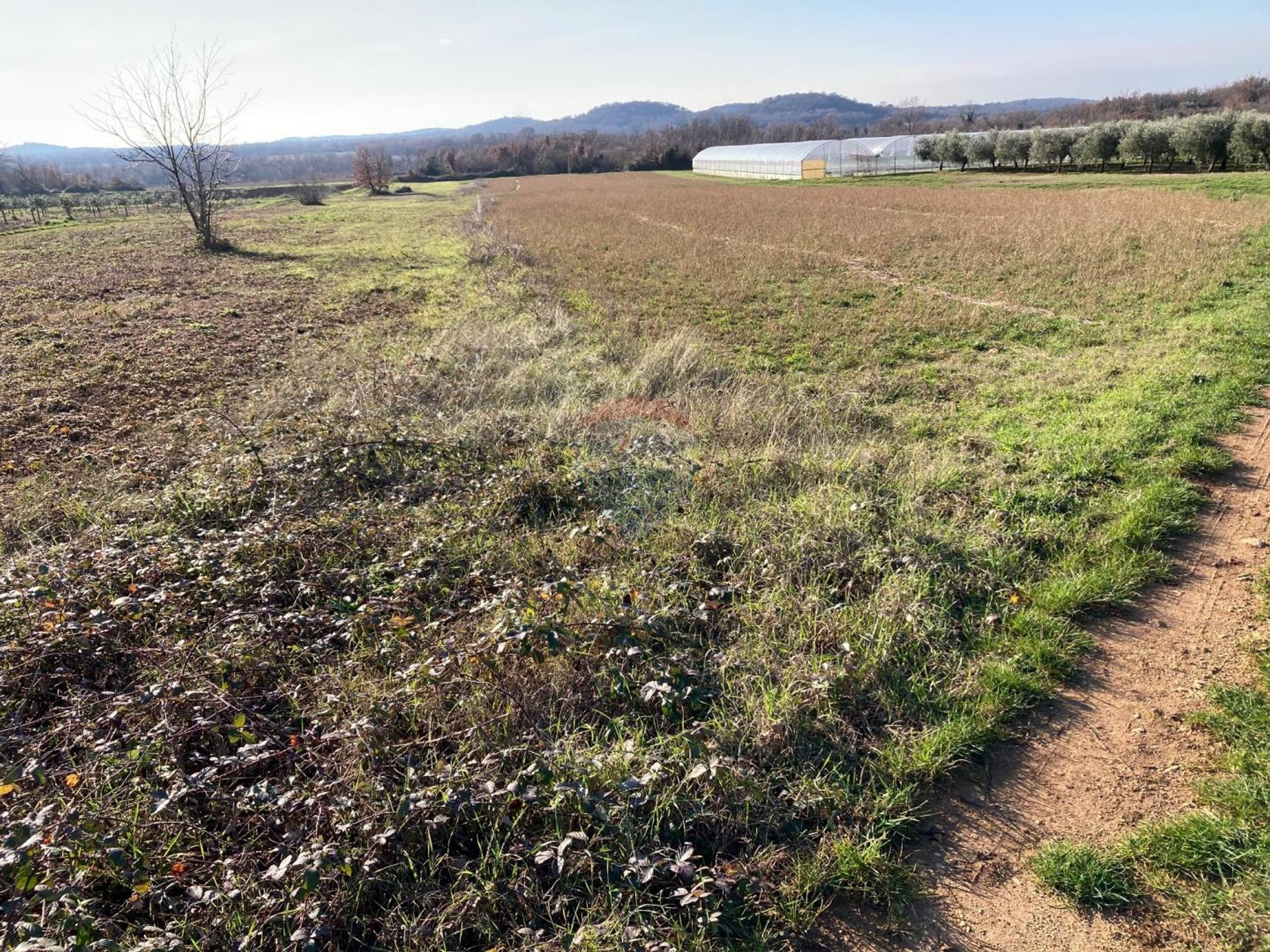 Land i Poreč, Istarska županija 12489513