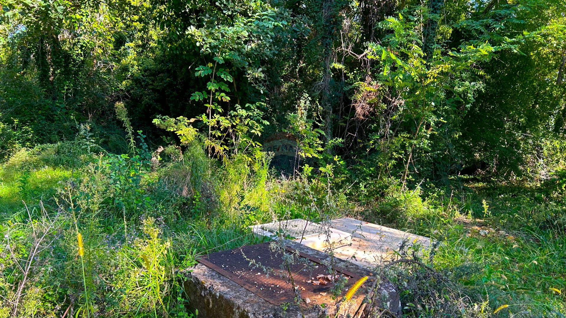 Terre dans Cepljani, Istarska Zupanija 12489516