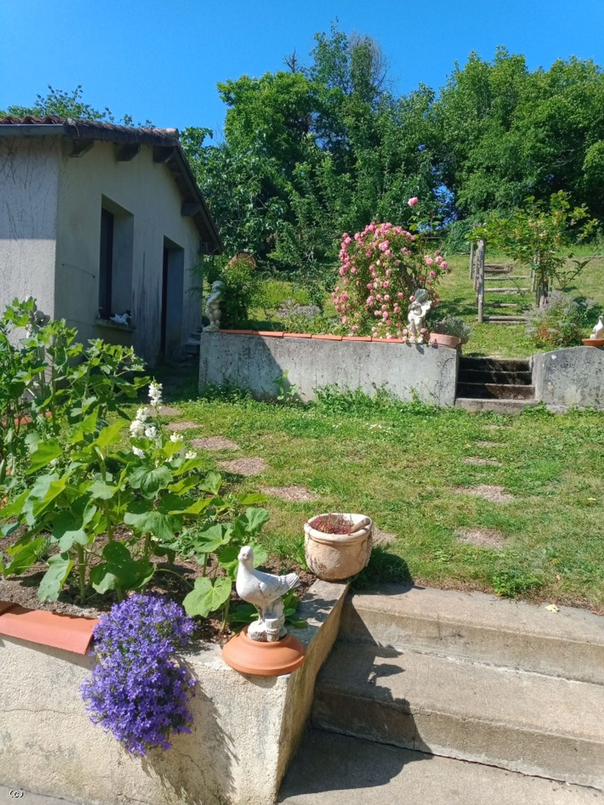 Haus im Civray, Nouvelle-Aquitaine 12489973