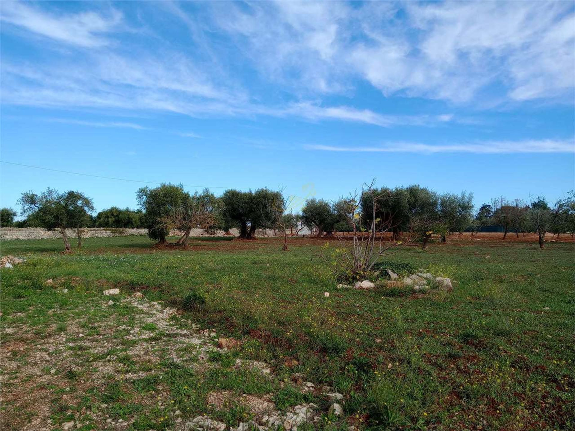 Земля в Castellana Grotte, Apulia 12490027