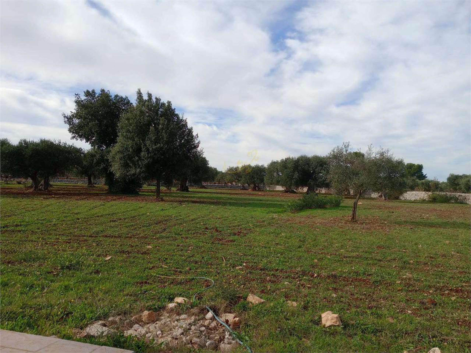 Maa sisään Castellana Grotte, Puglia 12490027