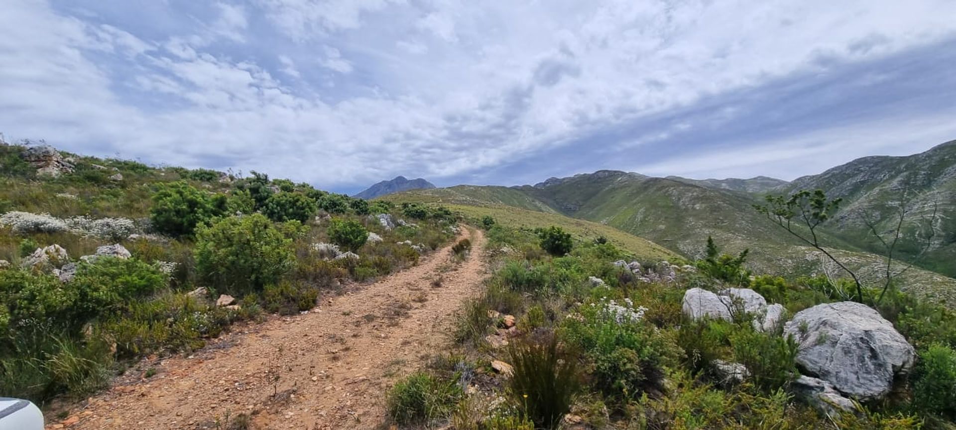 Terra no George, Western Cape 12490182